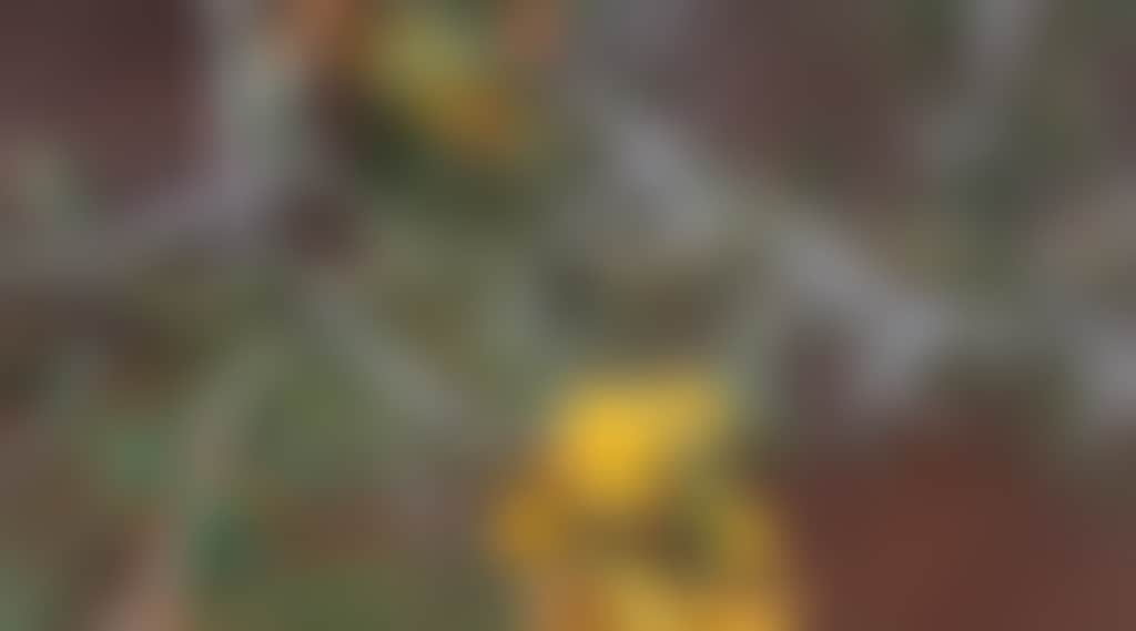 49Ef4459865D4E50578746496918583F