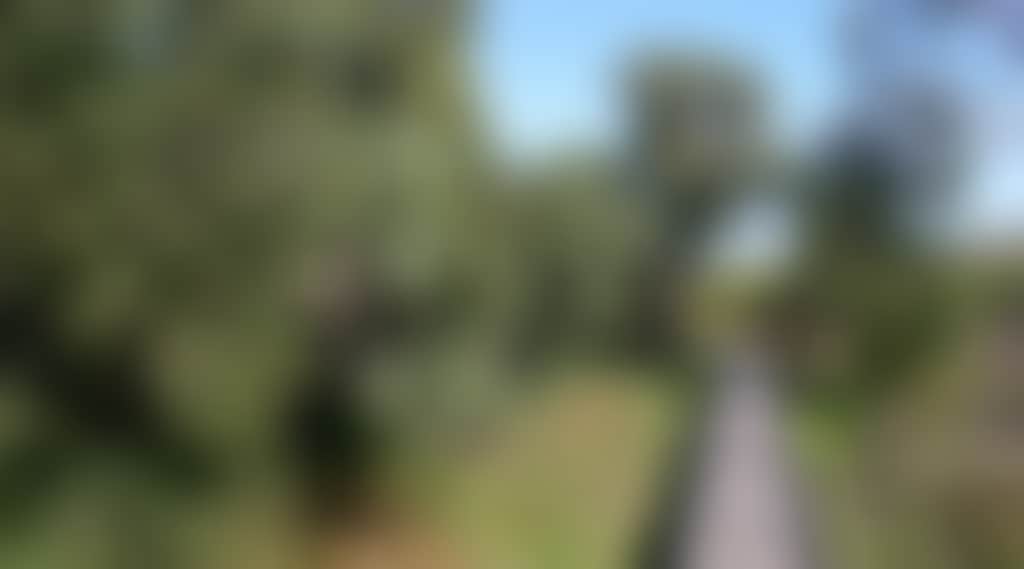 Original__9412993_Be85_Kepwari_Trail_N6I66Hl