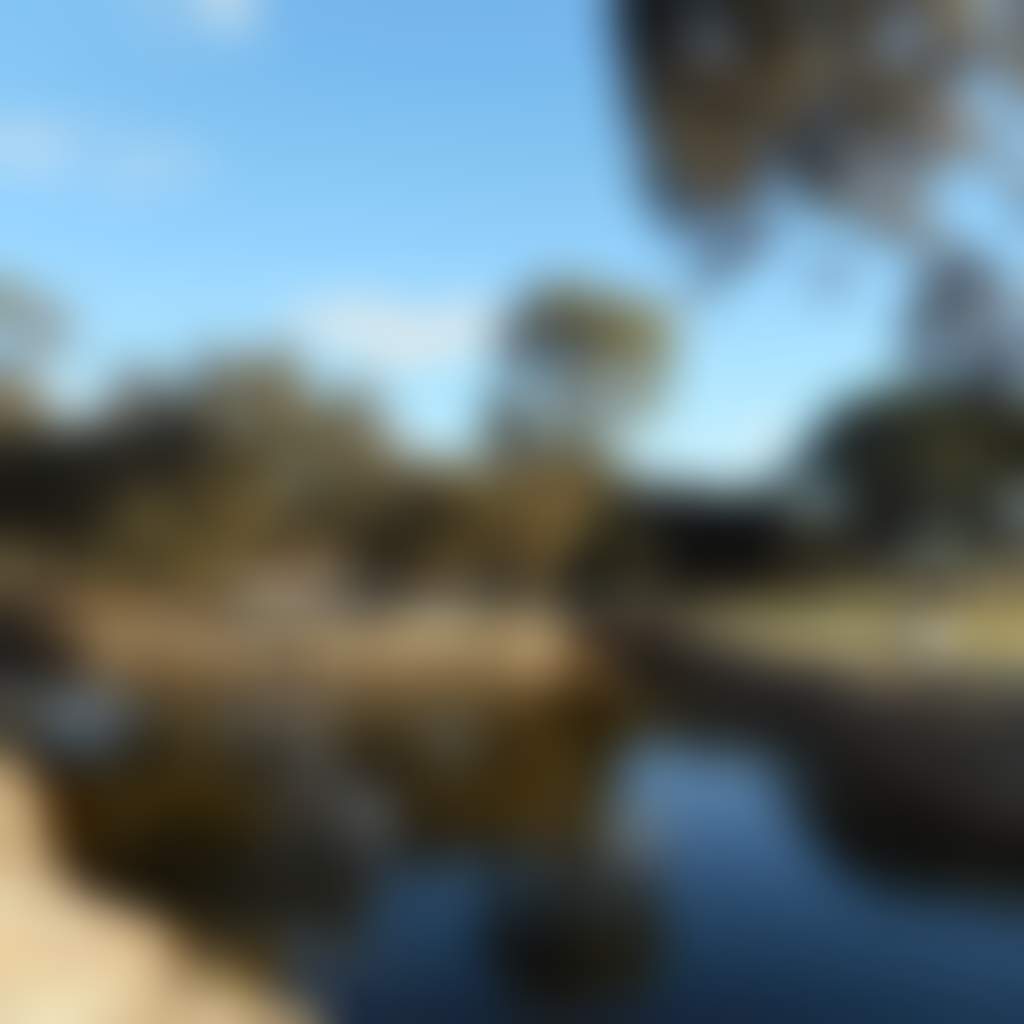 Pioneer Park