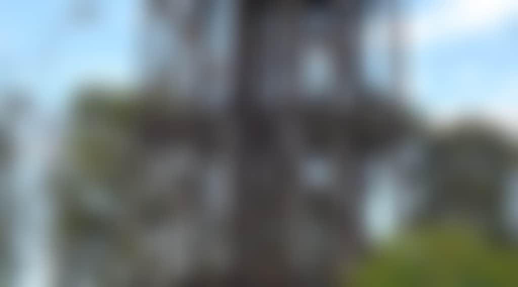 Original__9628066_Bf54_1_0Ndjmd7