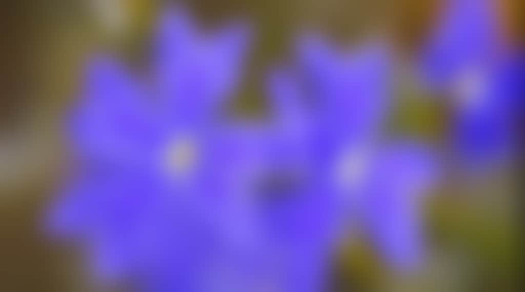 6Fa3F7F257146838028D062405F0E2D0