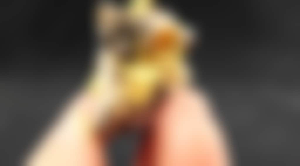 2571264A95D73F00851F445886021778