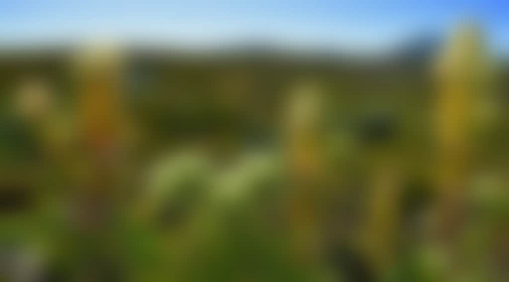 B1B62Ad69Dd5098F605170Ac9Acfd849