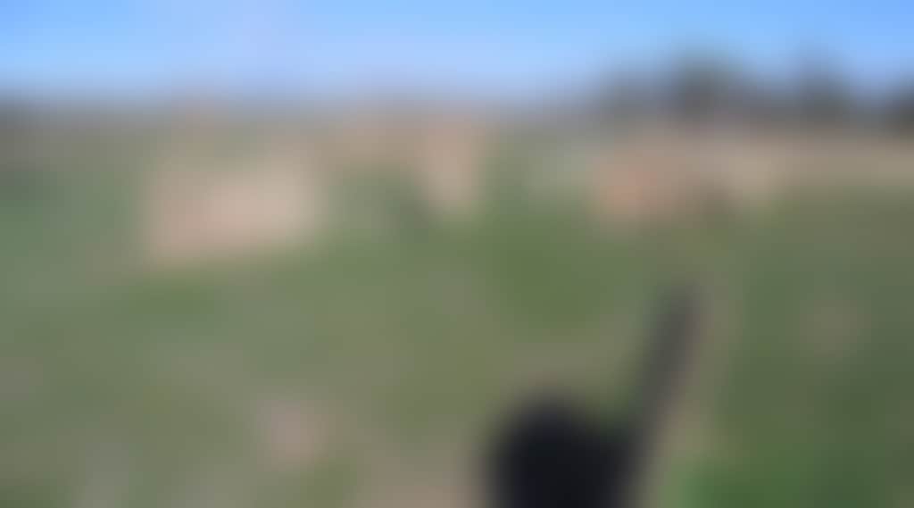 7C21Ef6F0Eecc4E1Ebd0D7378Fefbd44
