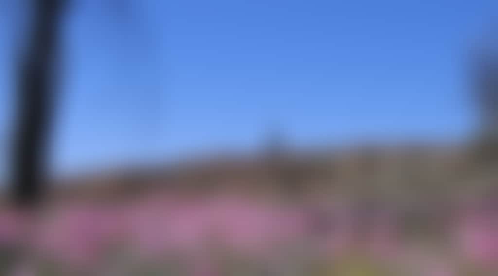 A68E7E83D801Cf9551F103242C426245