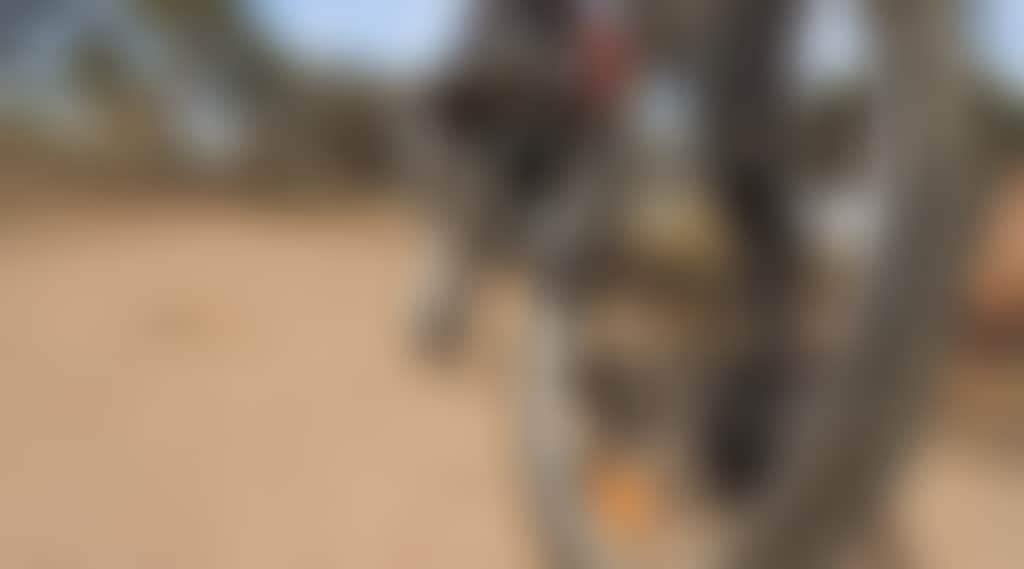 Original__9717594_Bf54_Bike_Trail_4_Lrr85C2