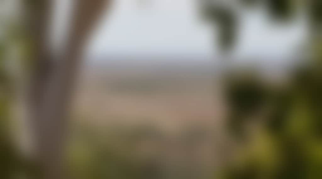 A044768Dcc953Ab6E80F50Dd31565Be4