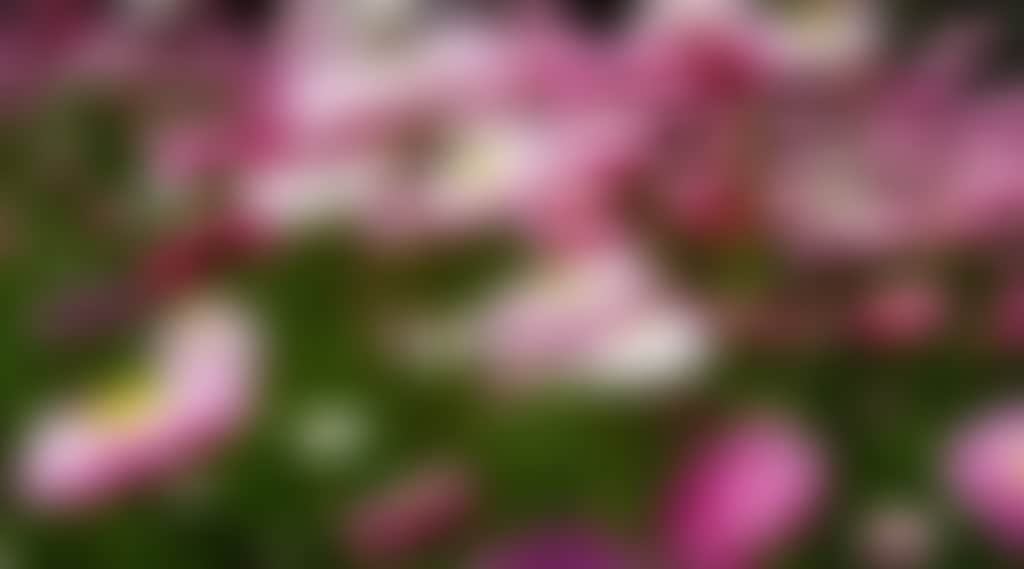 5Ec107B0F1336C3B16Cdd7B1Baac5609