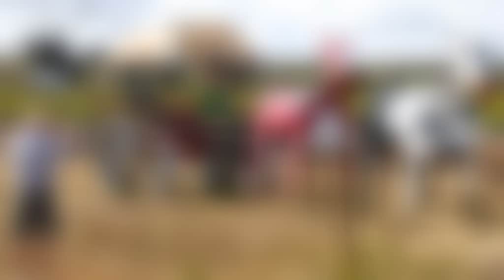 170646A1273247Aa0780Bf120Dba6B5C