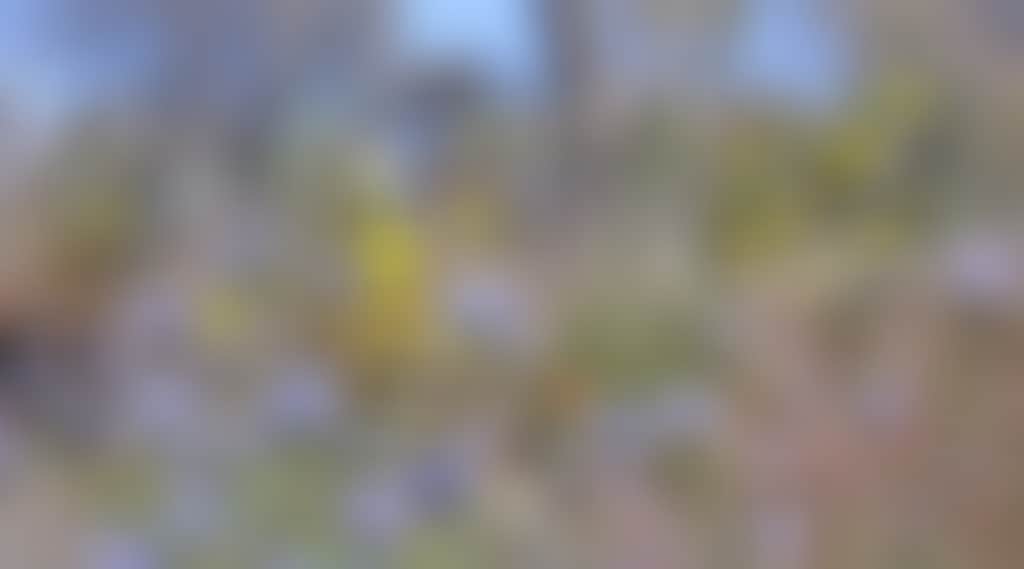 809A807A06E245C19377D0A6Aced86Ba