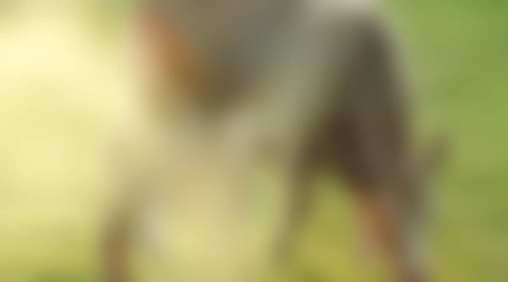 A930Baef284Df1446F6221F21Fd8733C