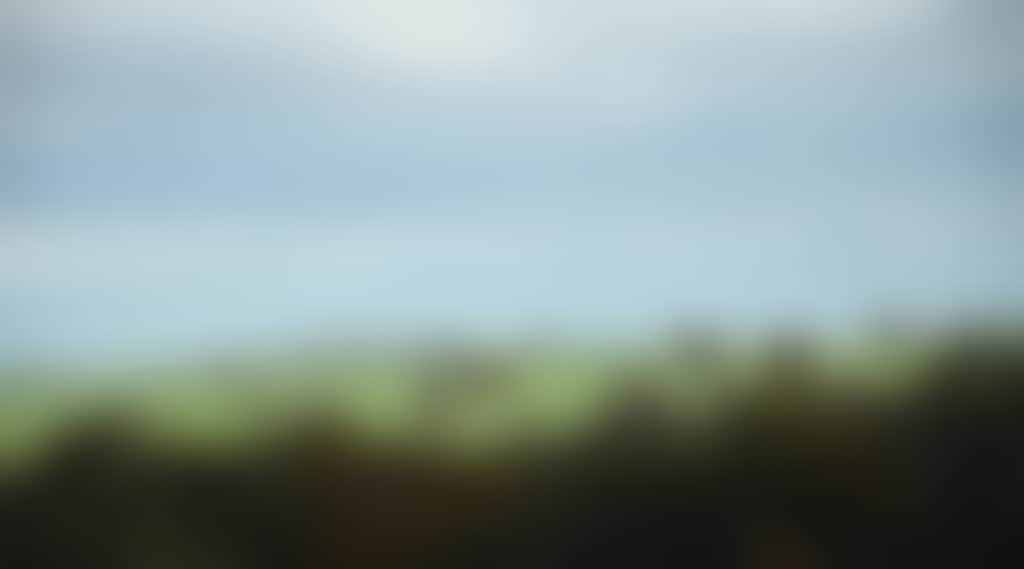 F96D6E651Df24F948274B4Fe675D65E6