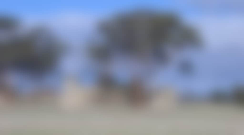 A982136D62281Ac8Ef65D031A58Bc41F