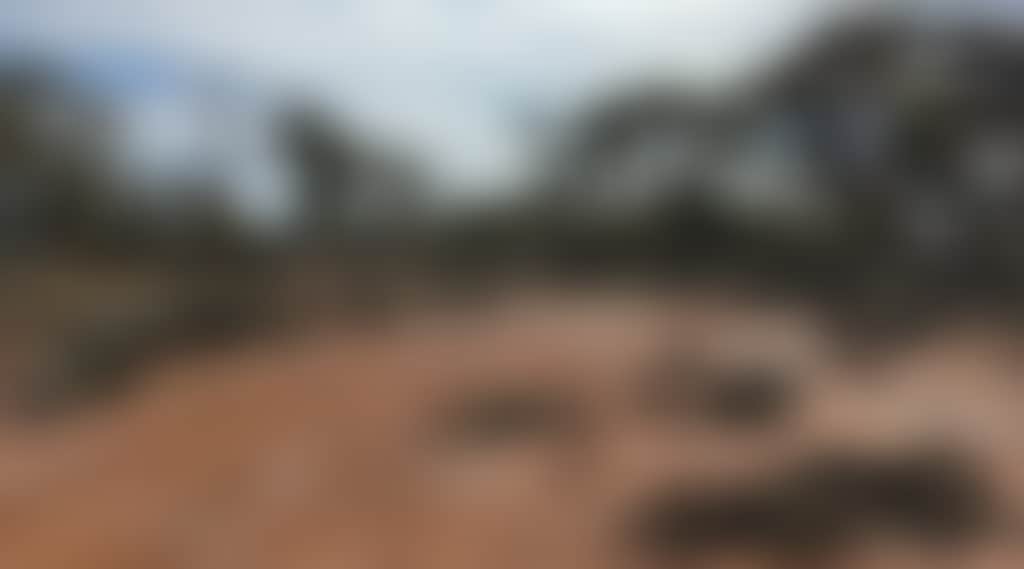 58D692D1E80D61527Ed16Ccade10Edf8
