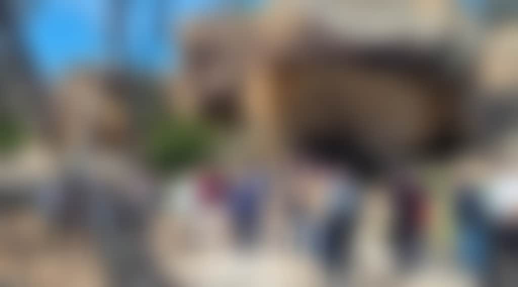 2C4D67F518Ef4Db69A893A176Dd7A0Fc