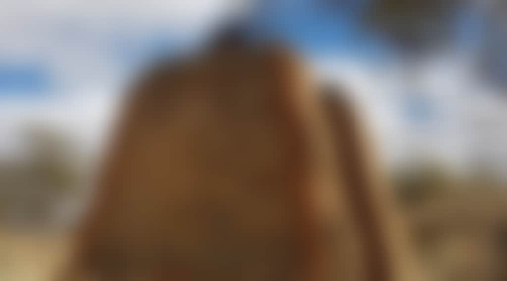 Ca958E8F427097899Cf631Fc11677100