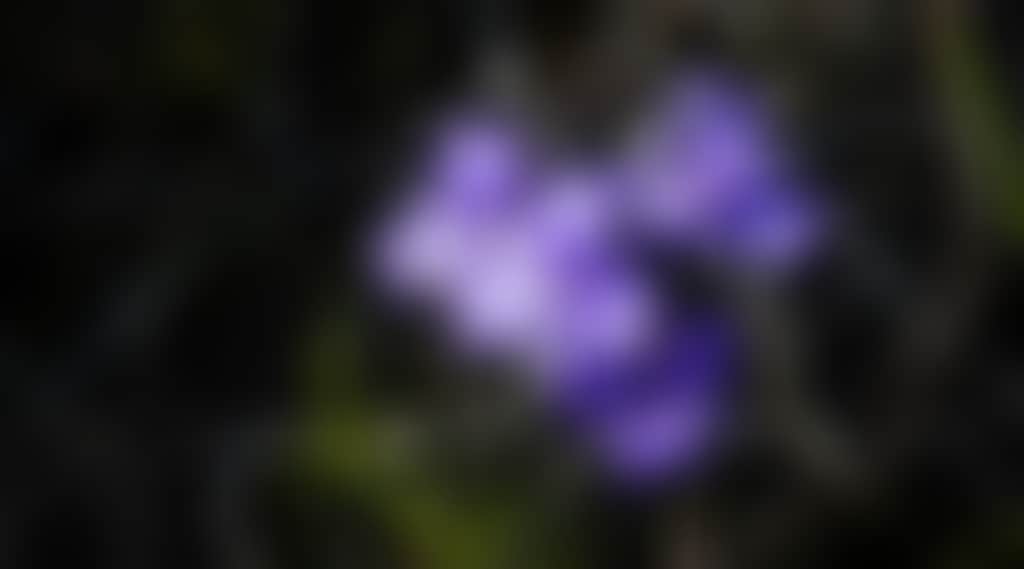 Df18384087893Dff08D82186Bd435F1C