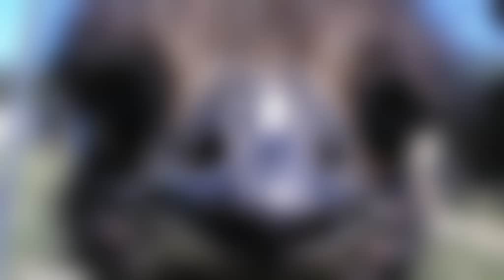 279974496Fb669De3B3C04C133Ee2C9F
