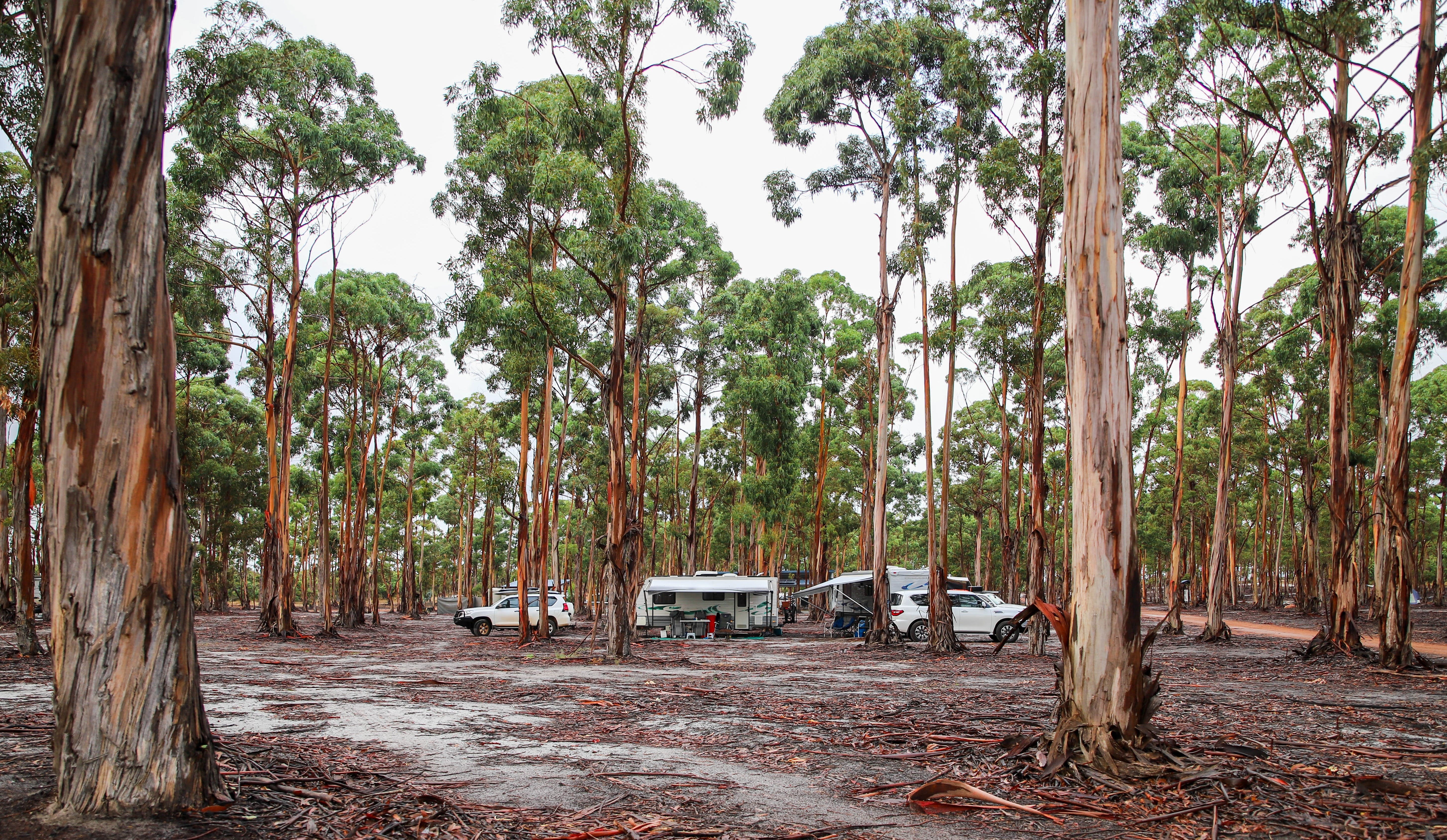 01672C6B5Cd0F1Ab4C65A03D9B2Ae0D2