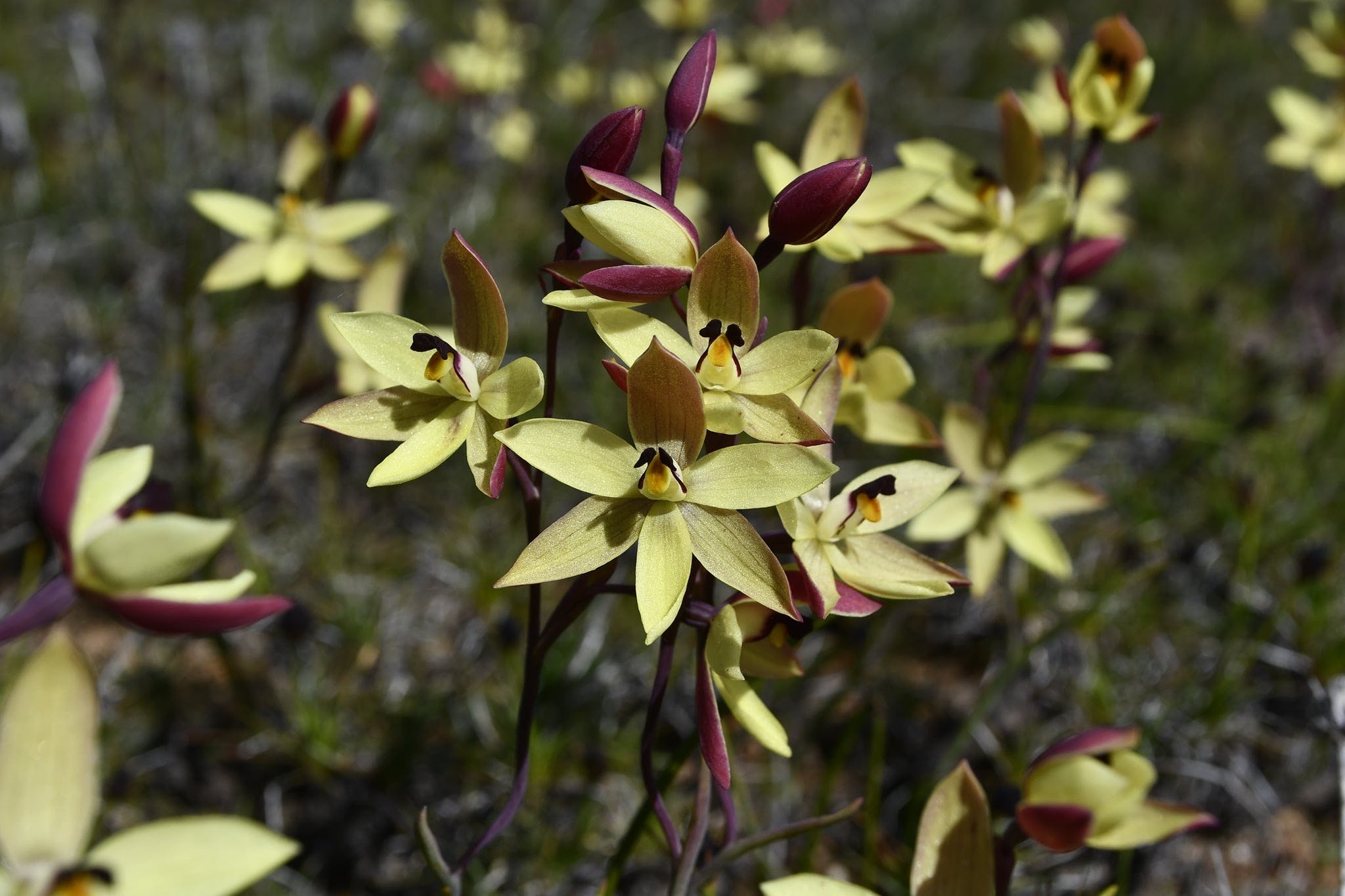 03F7F32B2Fb6262Dead38A2D7B7B1Bfd