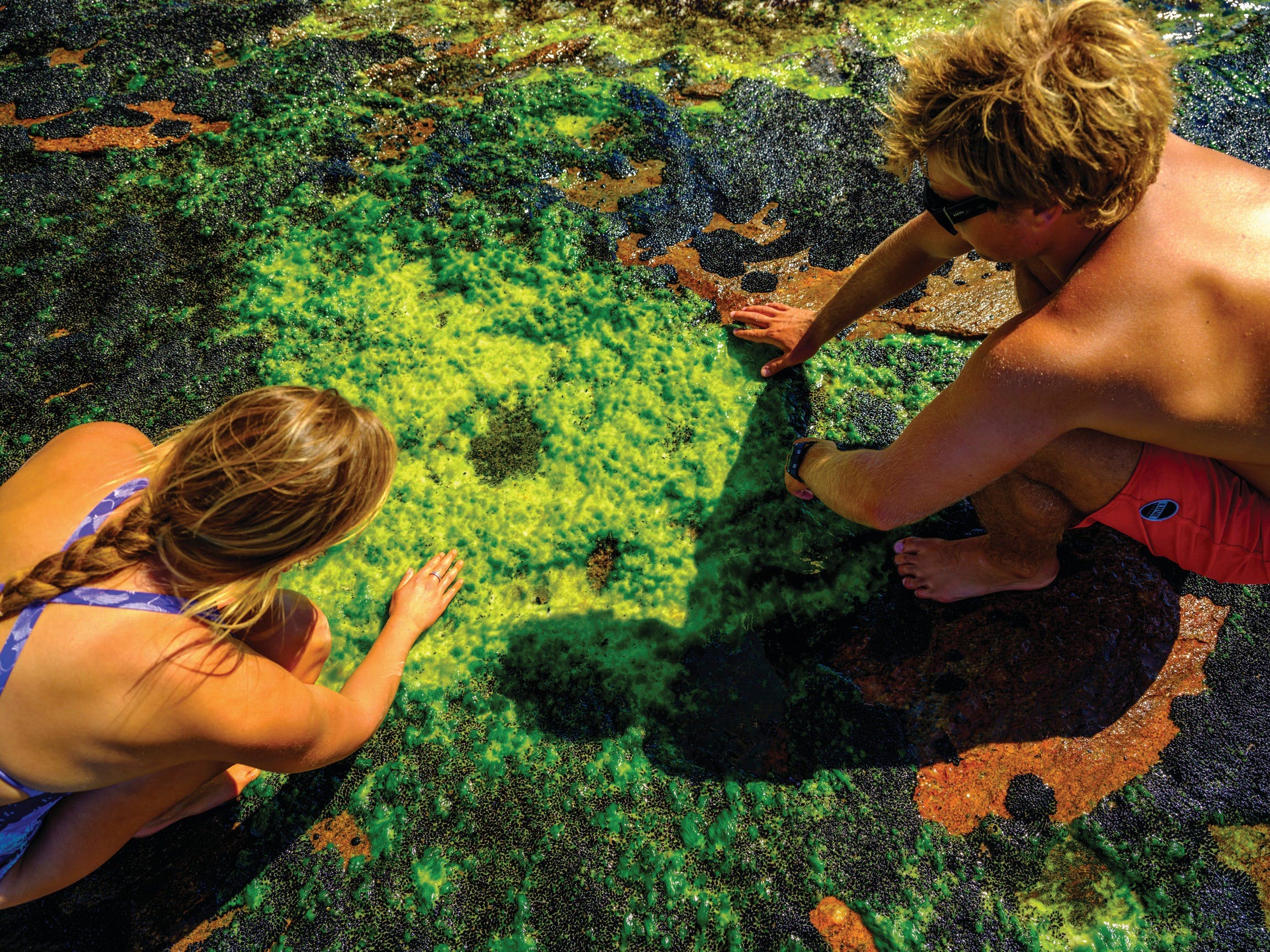 06F076D64B002F725248Be39D03F0E3A