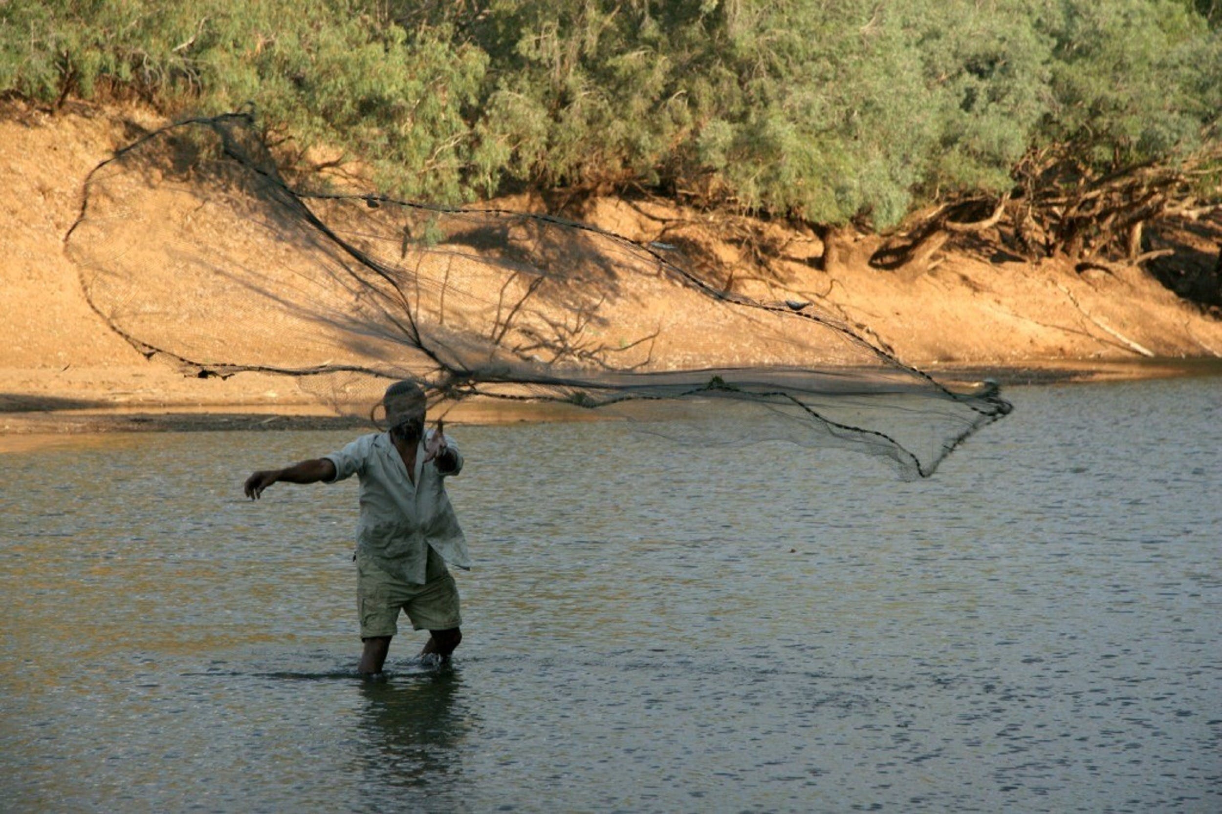 0720801Cdf2B739537Eed864A15D87D2