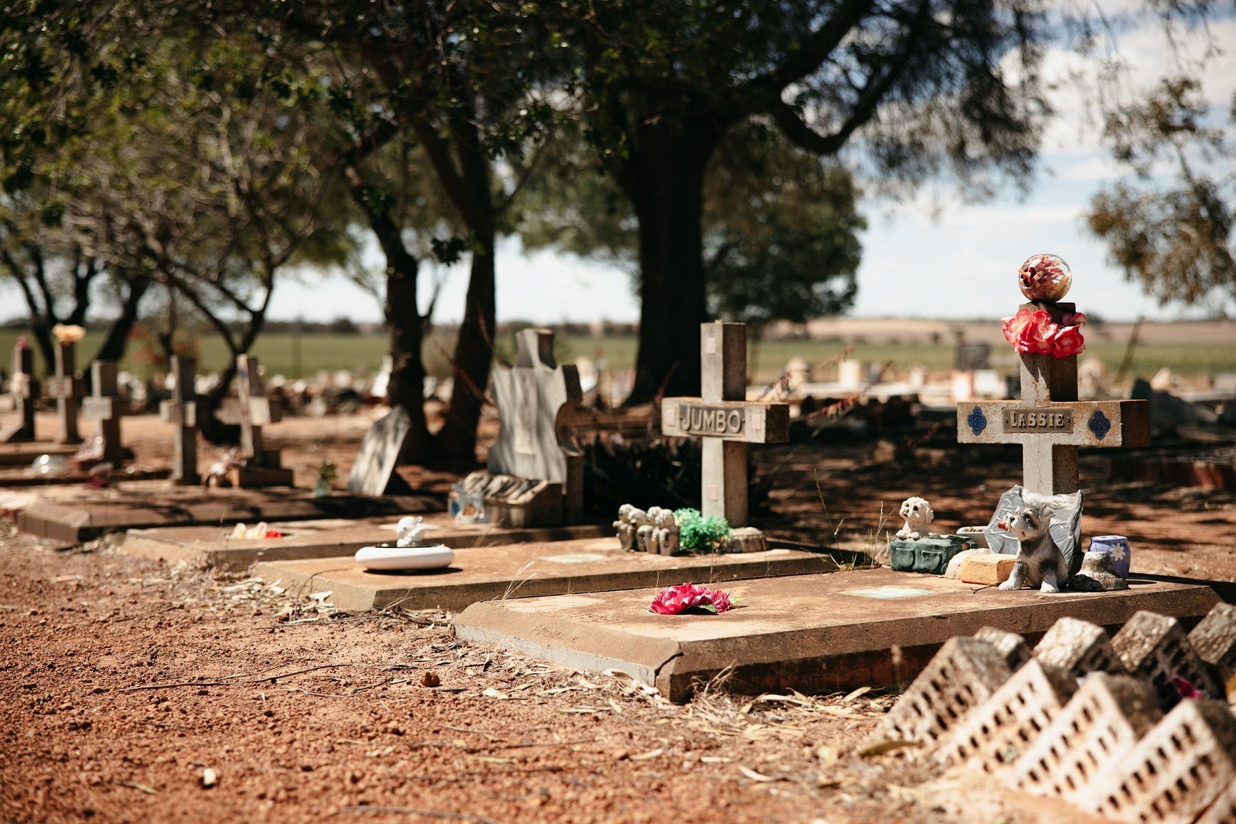 0A6E3Ccd88A26D3Cc5C69Df8F13Df918