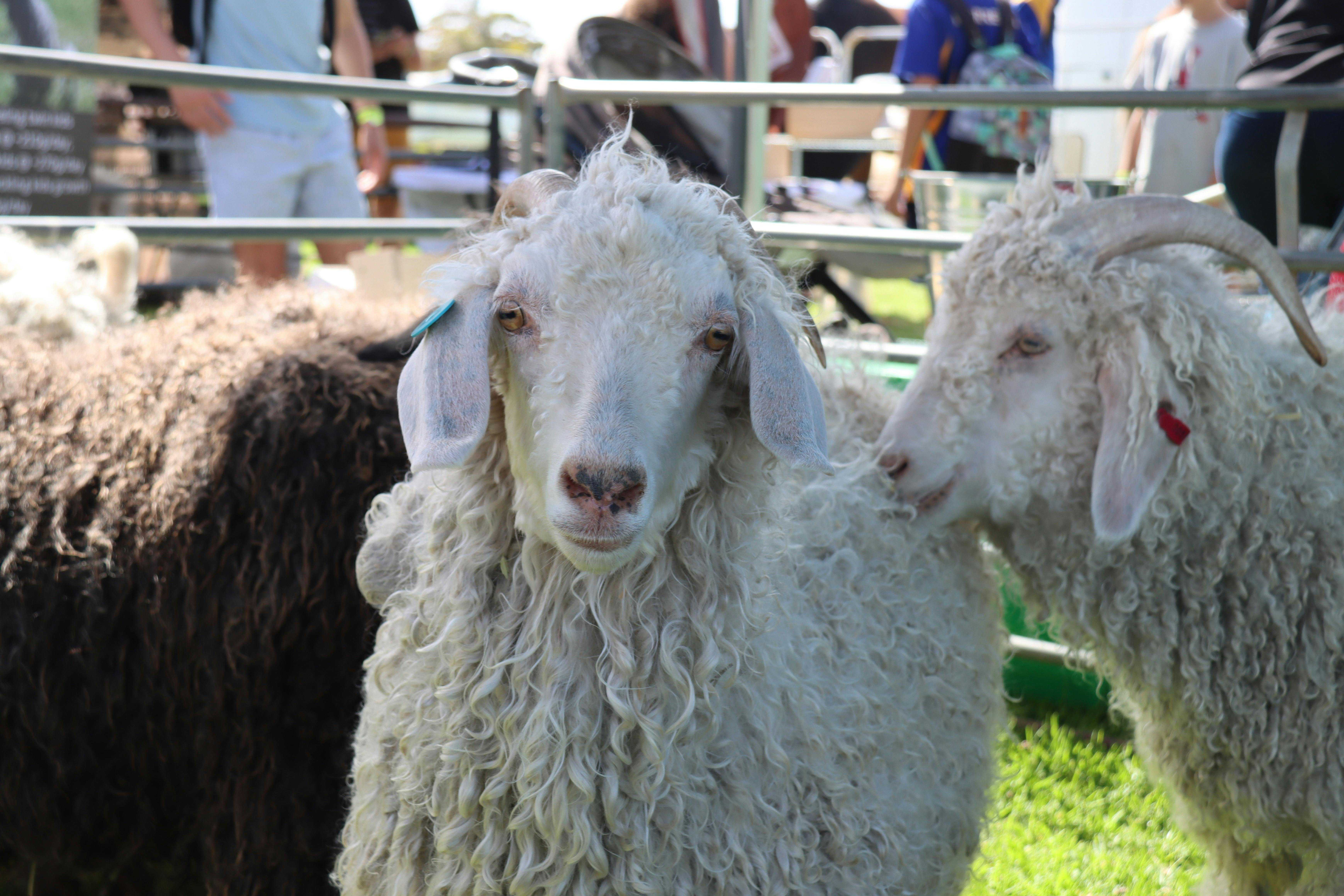 0Ae6Fcfcd64176E0E11053555A3Bf14E