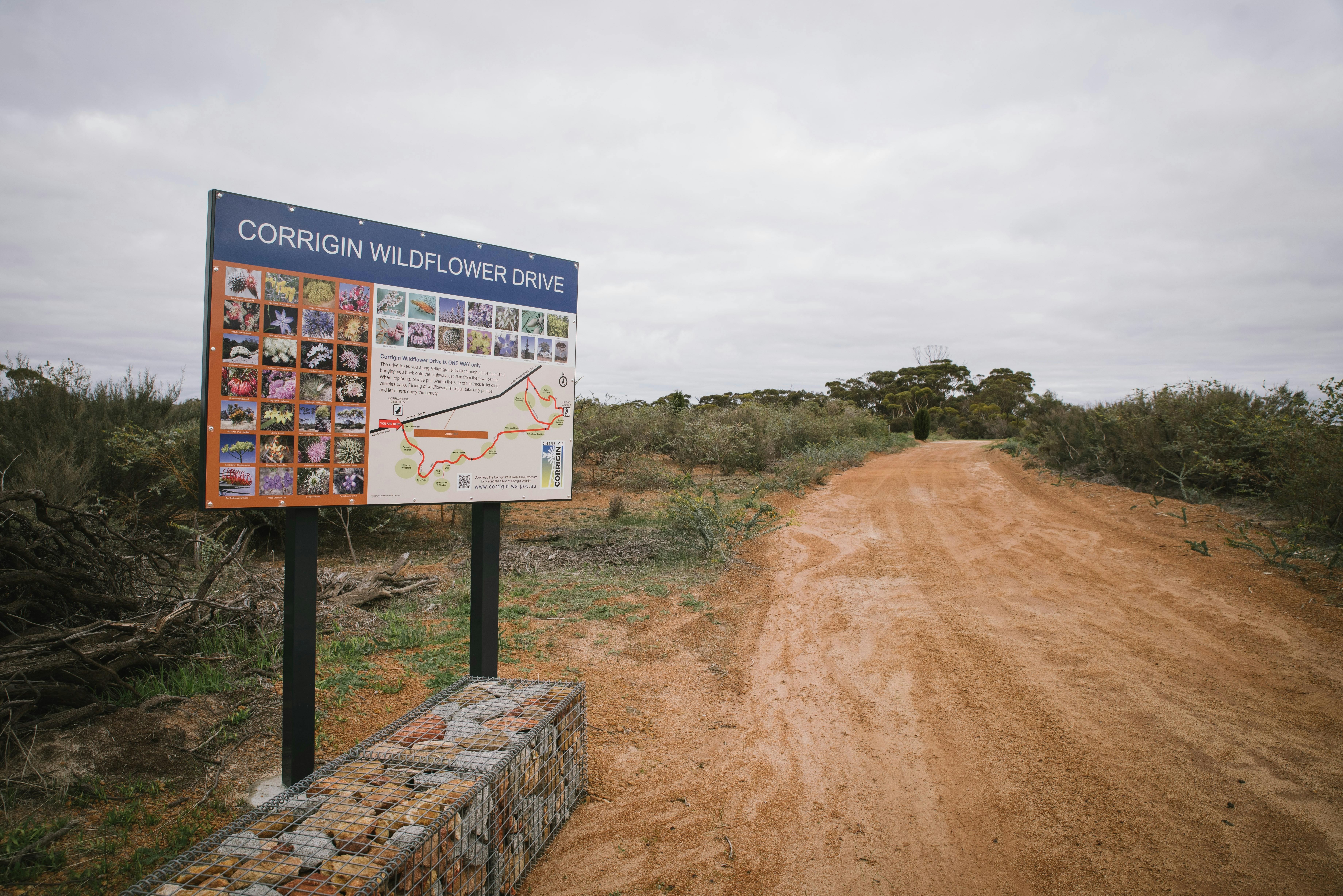 0B29A284C2F176Afa5Ce36Ef741342F8