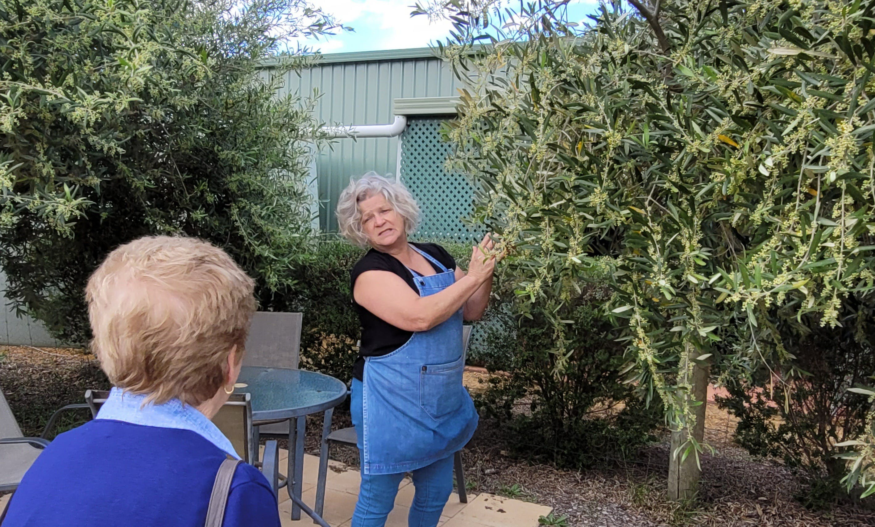 0Ca71C69A22A091B79F79De9E1C67C6E