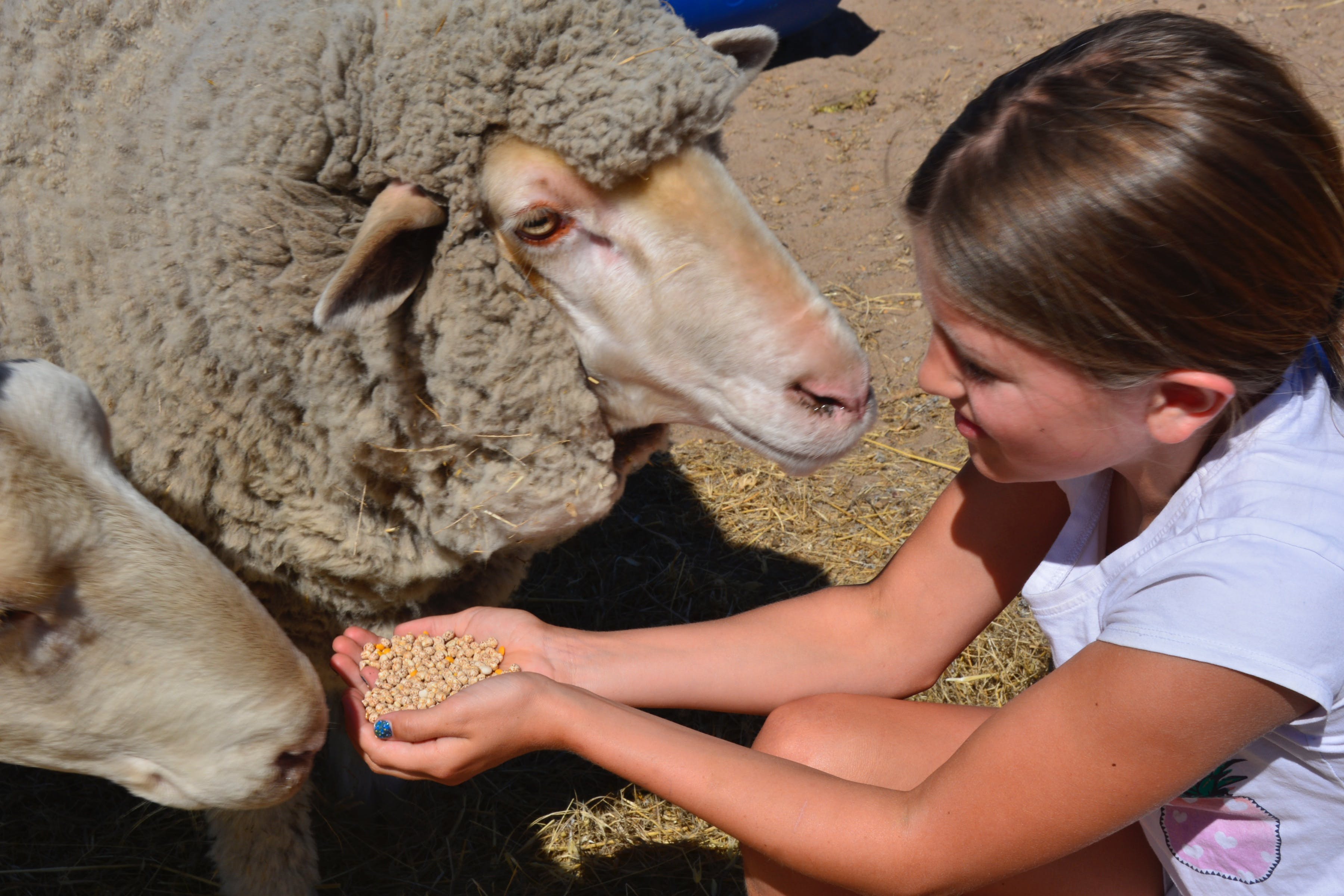 1324Ada7A09Fbd8842B9Eb66324C2C3D