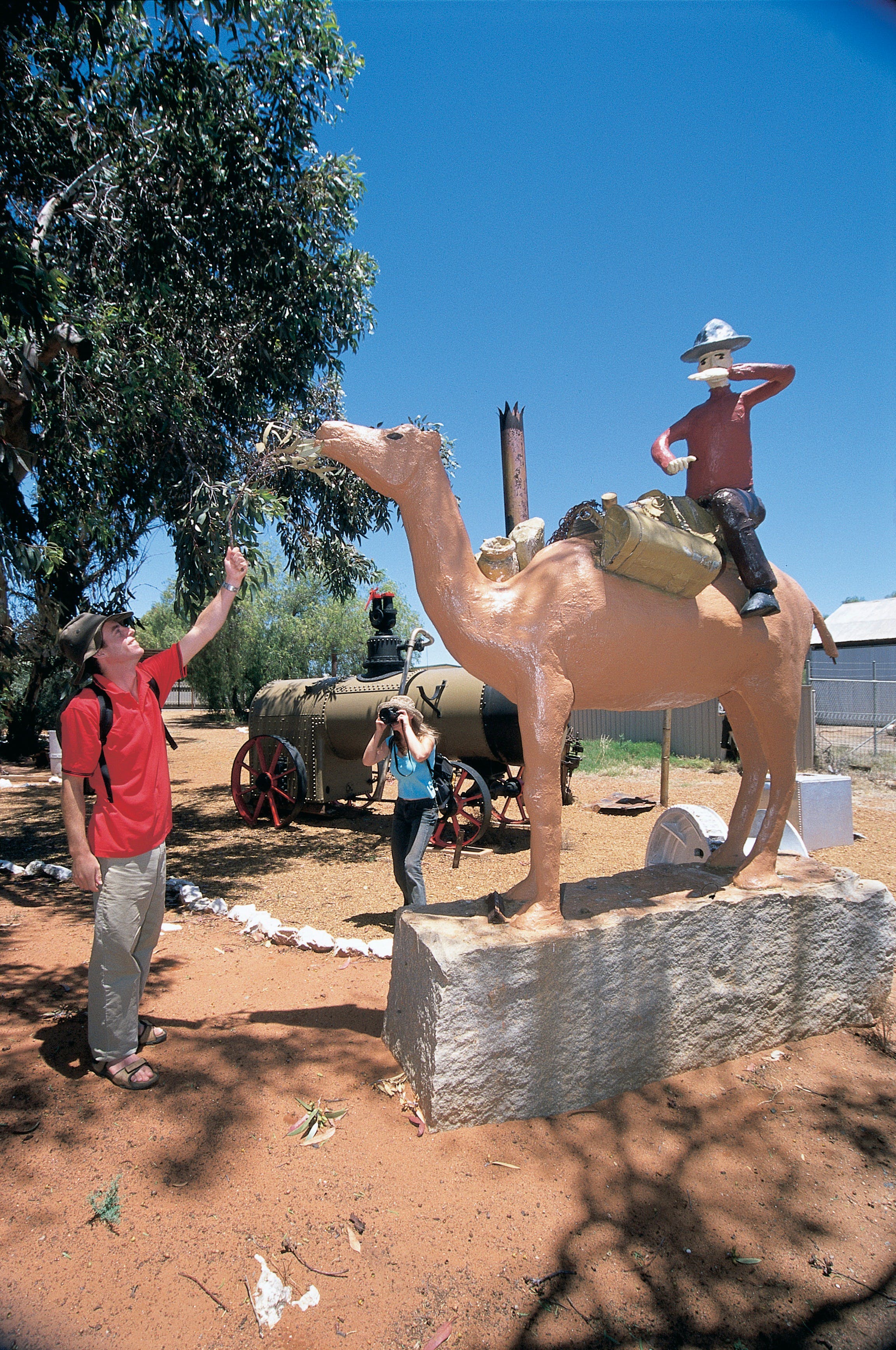 19A4913B42Eb4B0De4565A2F9F0630F5