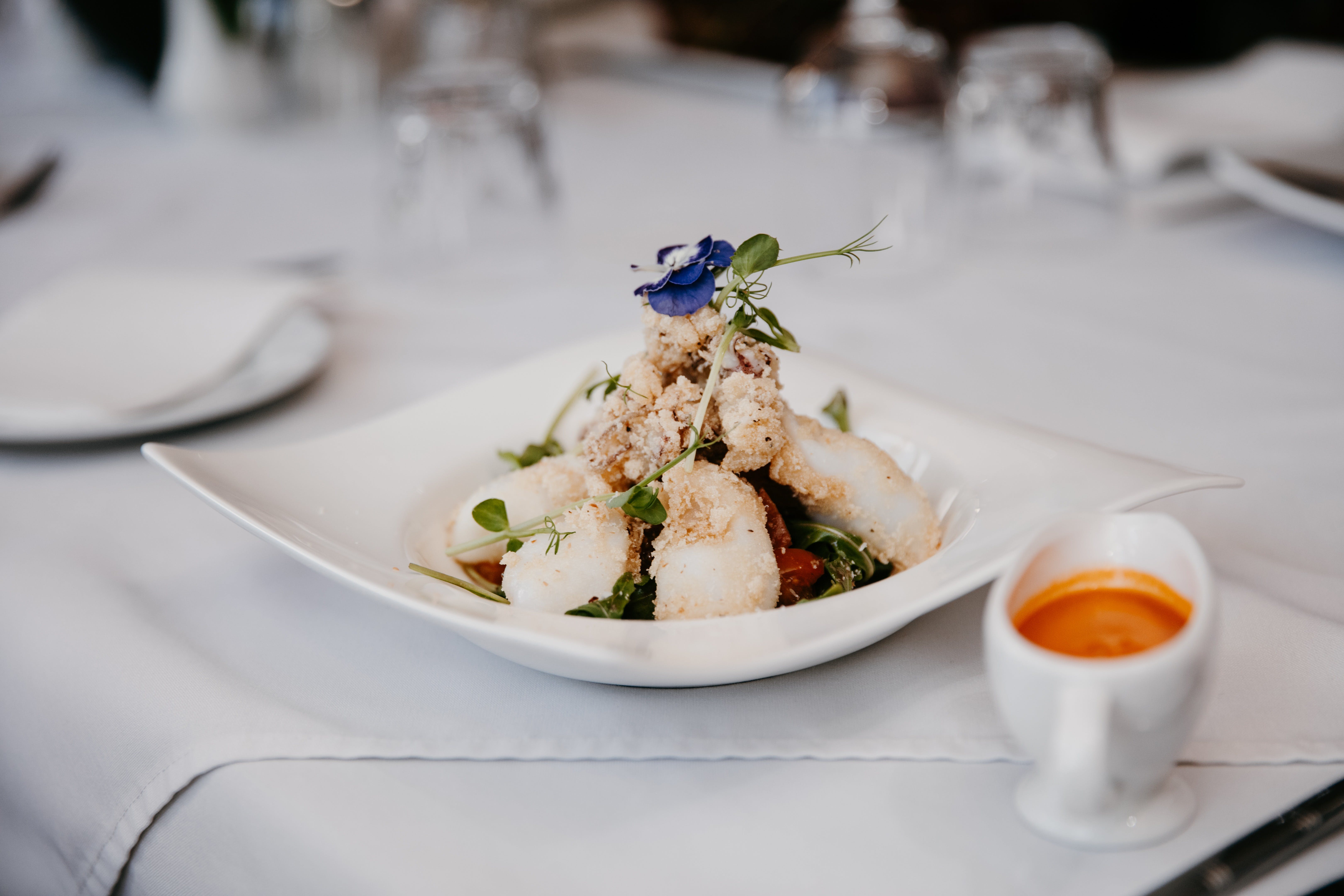 1C572087Ef8Cd5Ada766A3D97Fa95E22