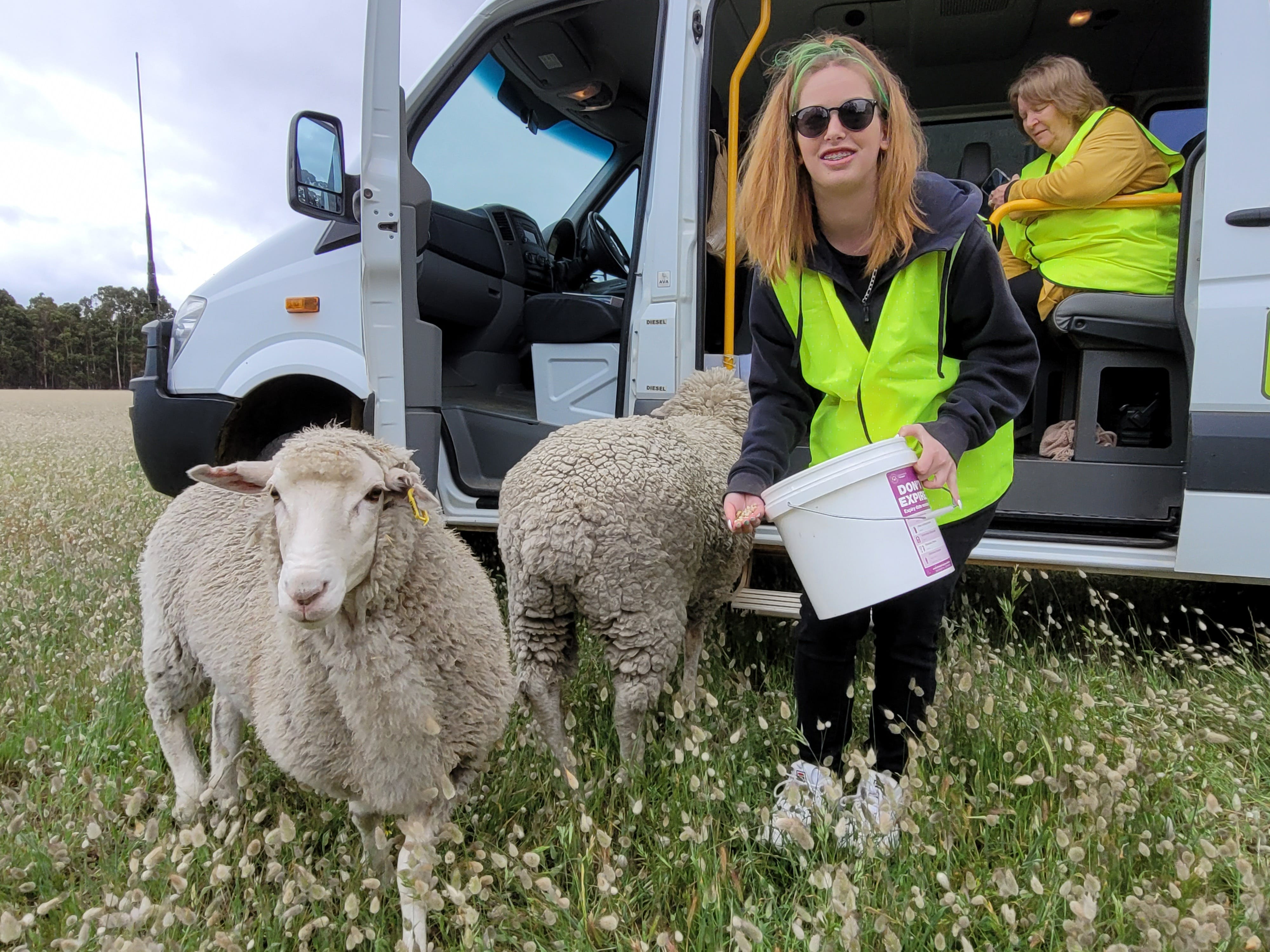 1D0Ee20Cd18D5827D6807970D4E6D27C