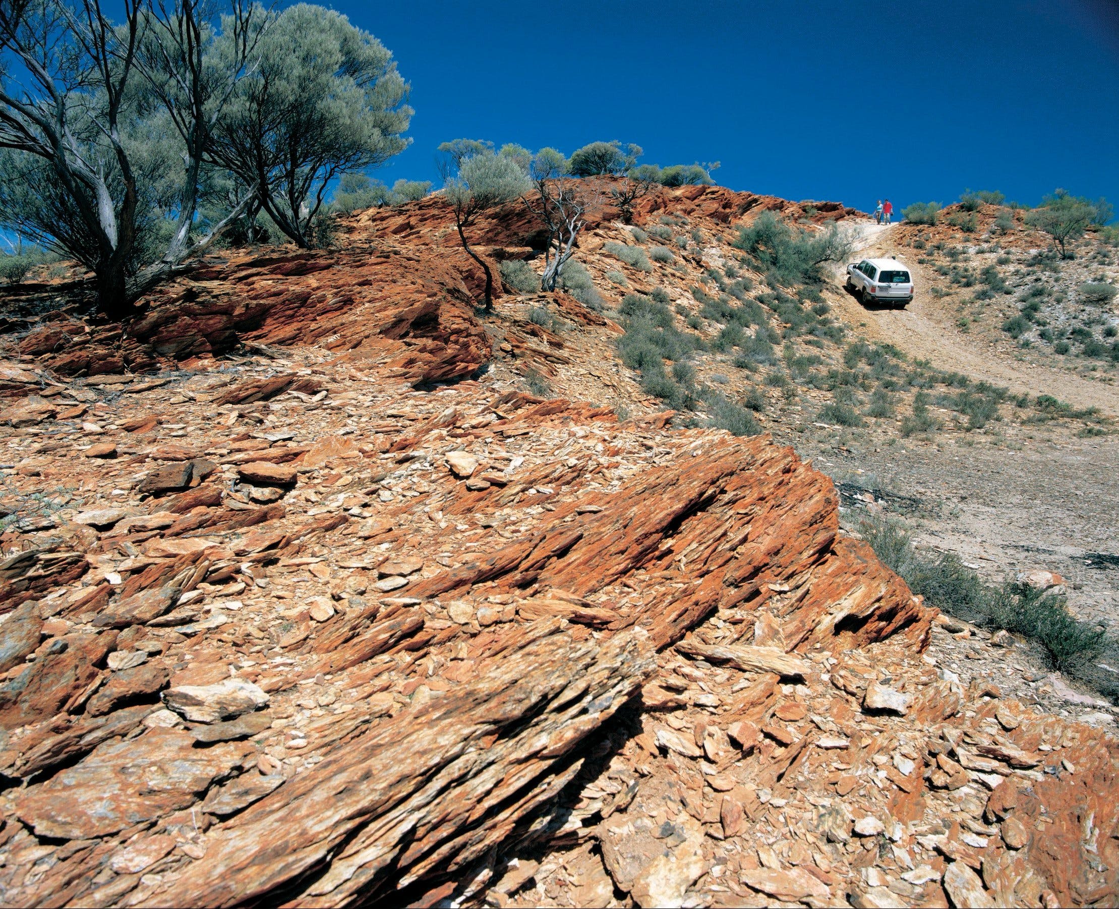 1D6C2Ae405Dbd209955C3C6Fdcccd342