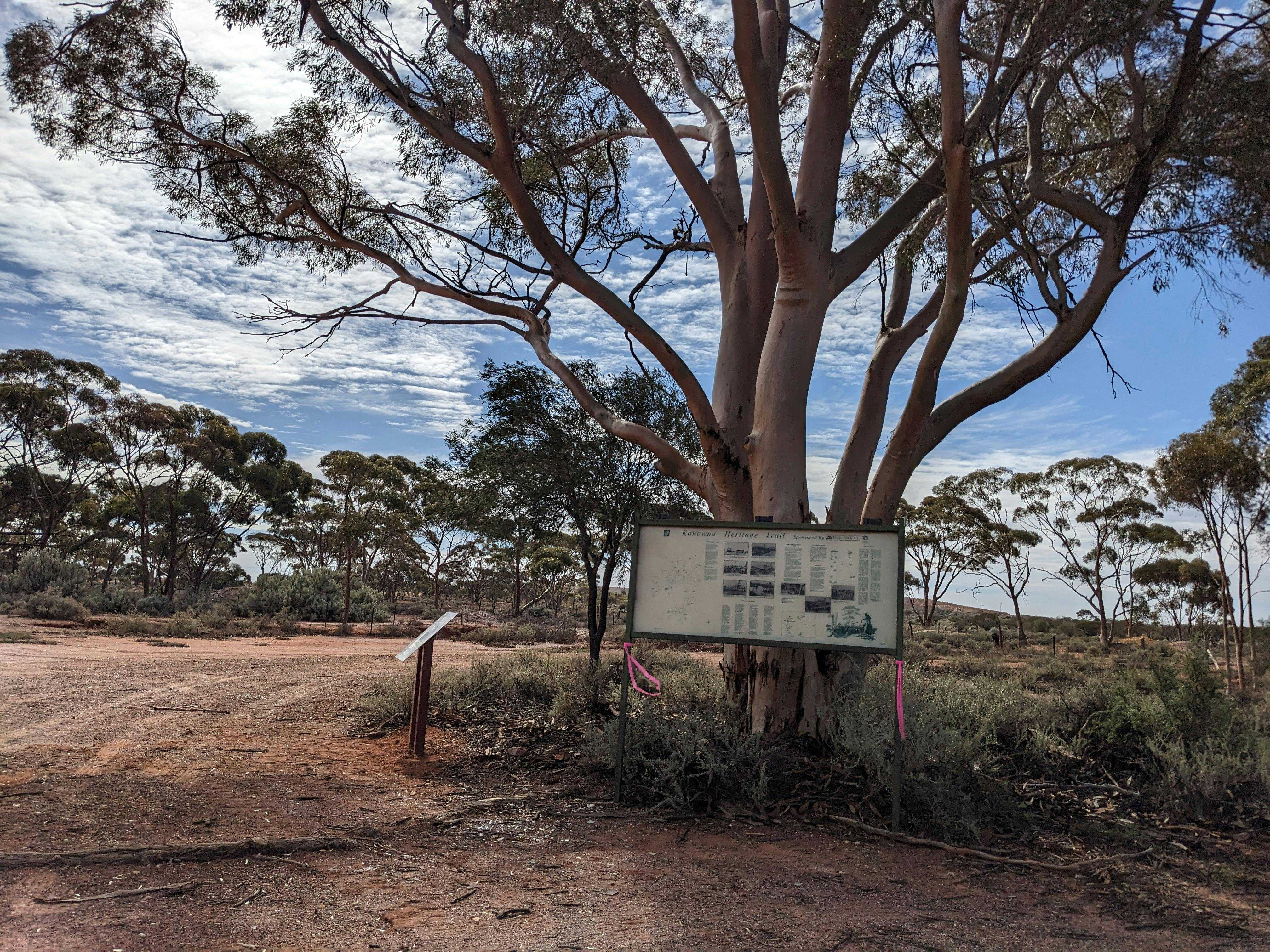 1E12Bb6B66B3C454Ba6602636614B6D8