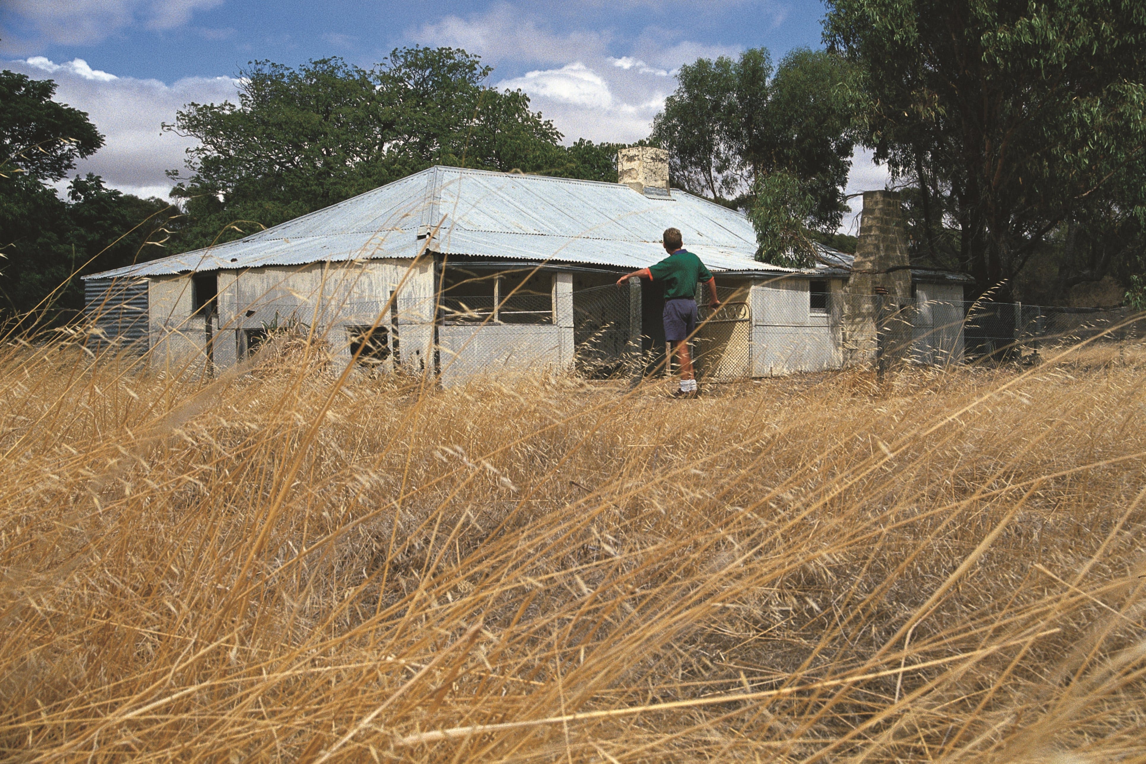 1F1031Ff1E01742E6D482F8A632Aa3Cc