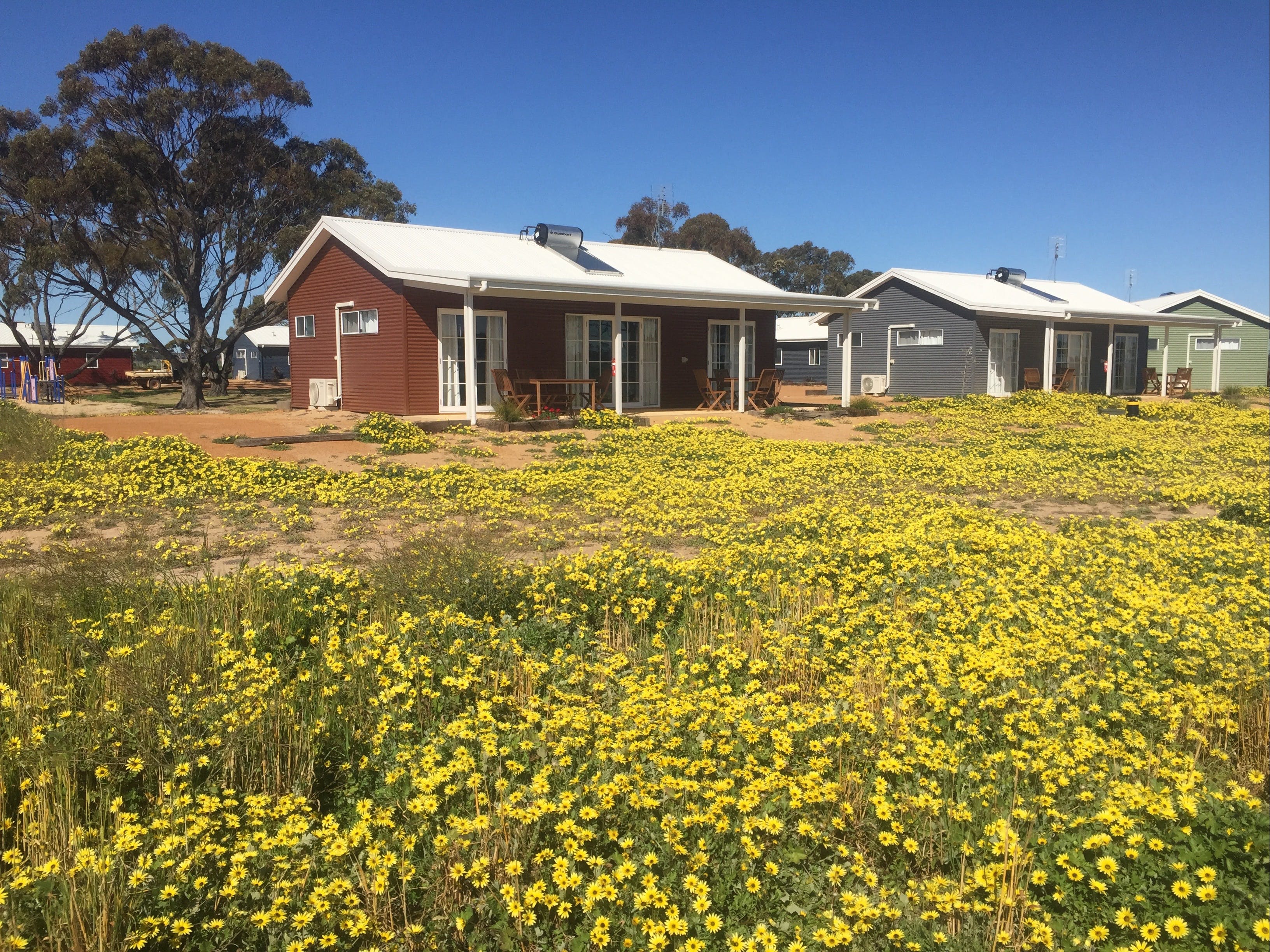 1F2B10A1Eaf2Afcb10124857131B2Bcb