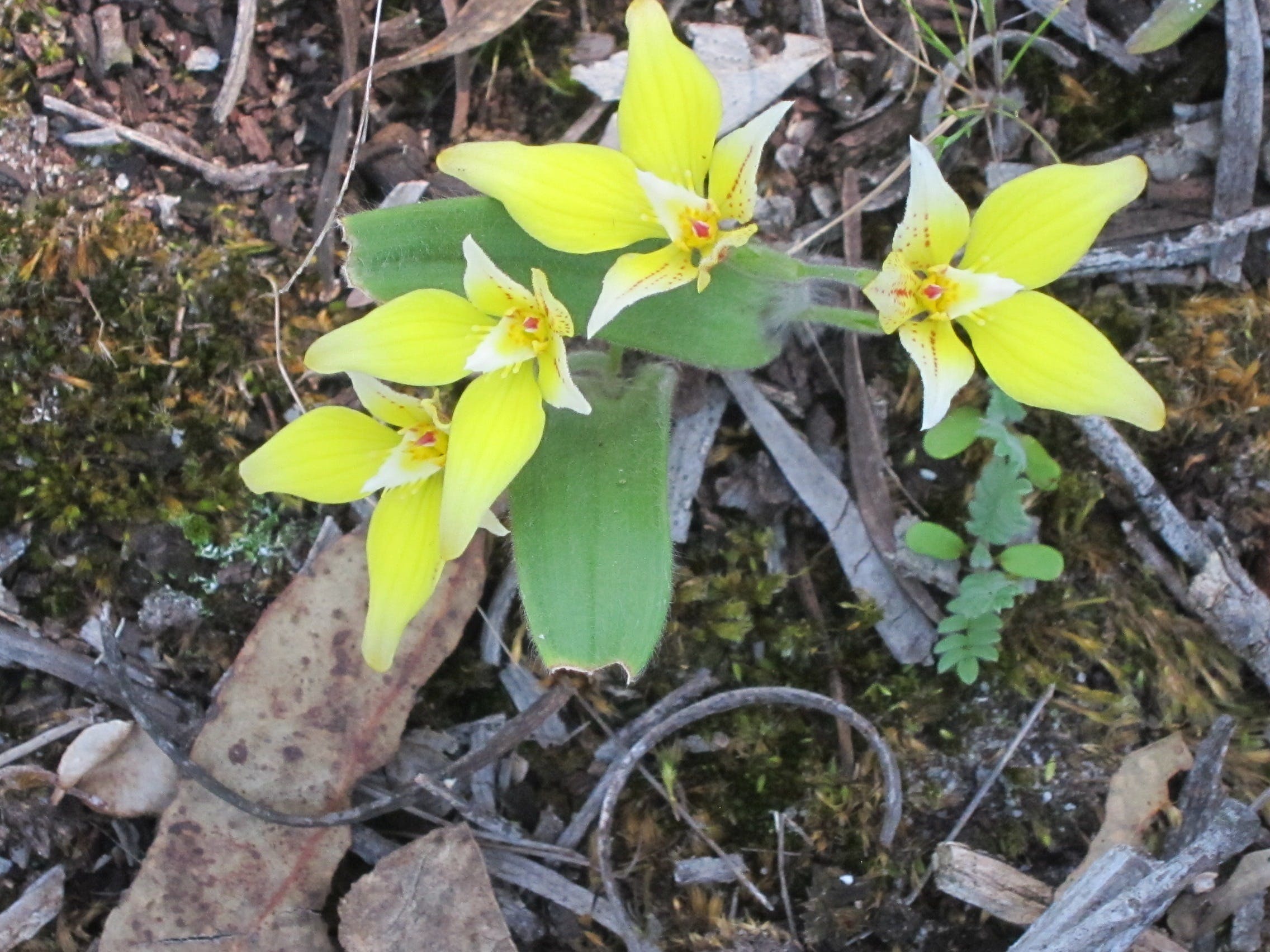 2002D20Bd0F8E09Fe70724F68B6Fd4A3