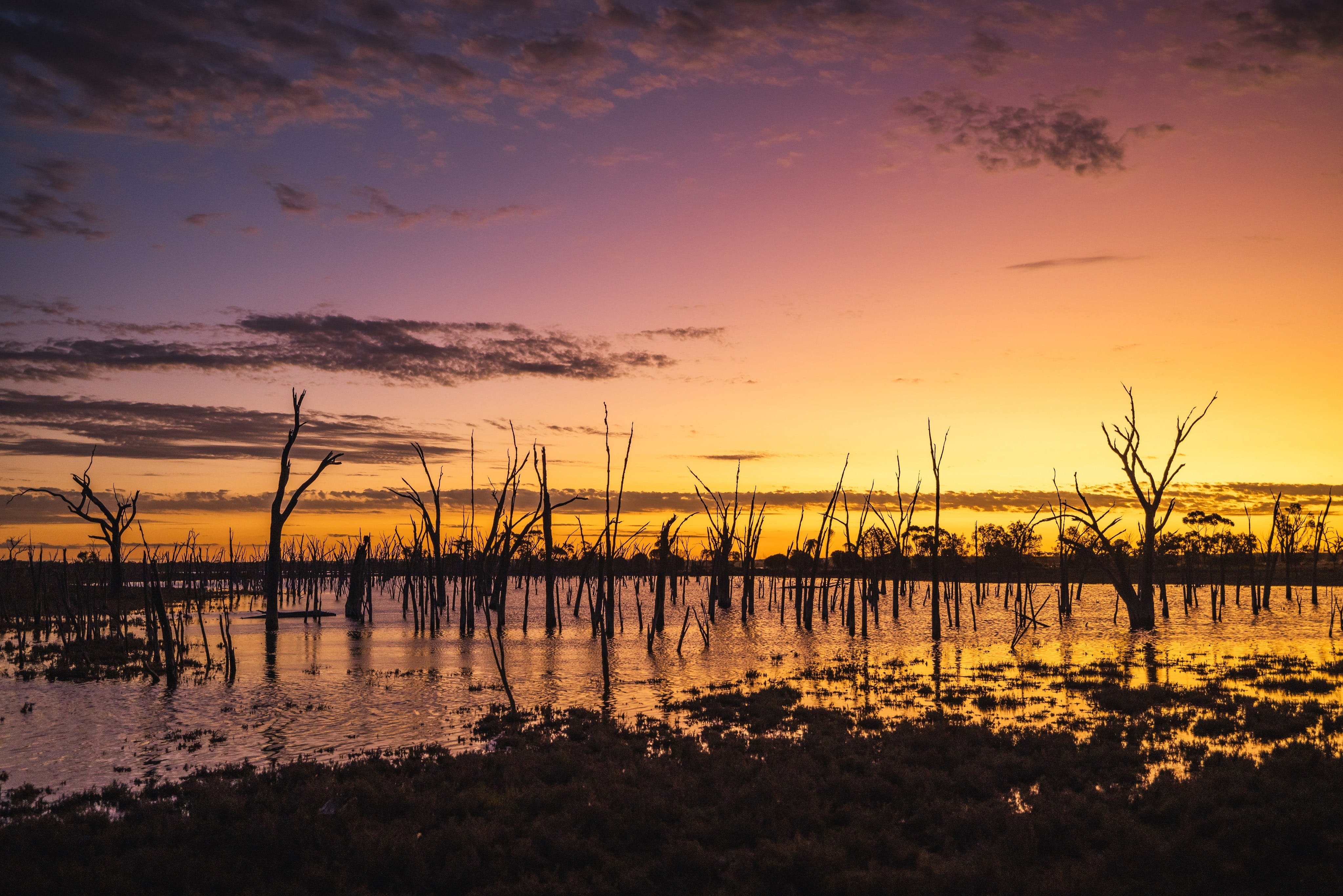 21883C9644E5D736D9B738B852B44Cf3