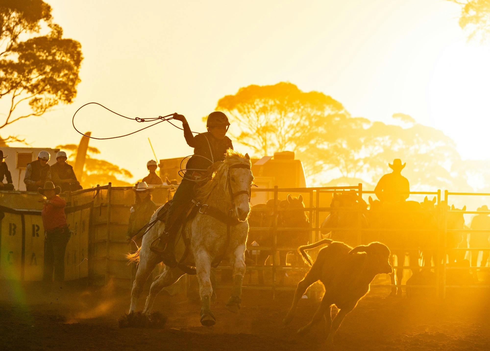 225C25269Cbb0495Bf9A07F16D629B37