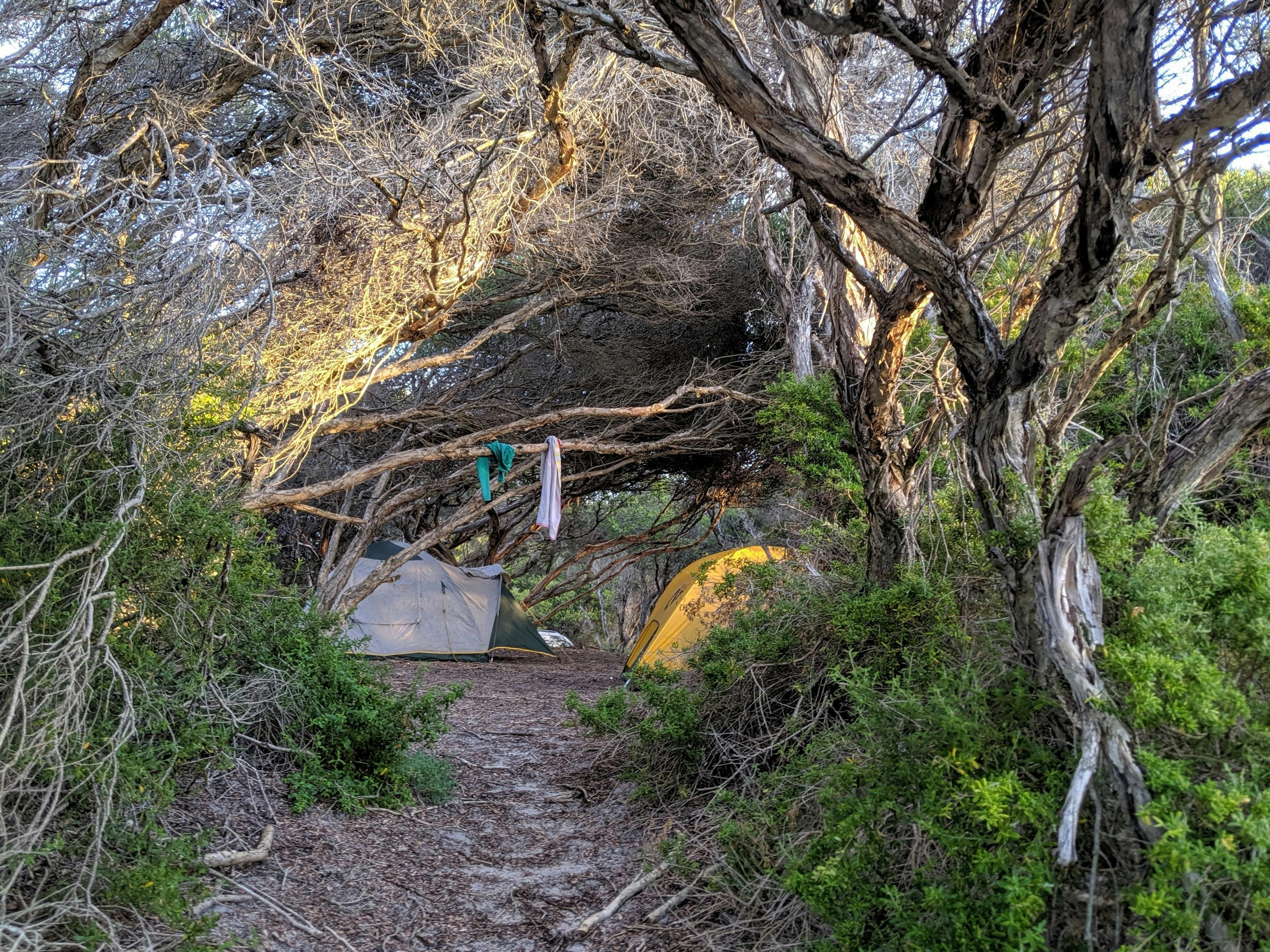 23B66295D2730D1F2C3D278Dde013Df6