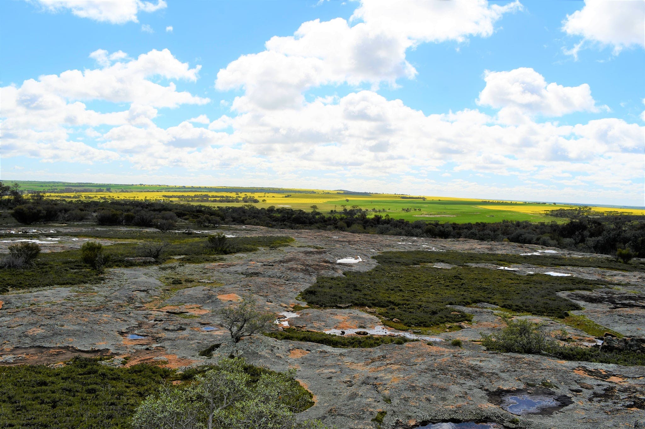 25Ac867719454270A69119441115Eb7F