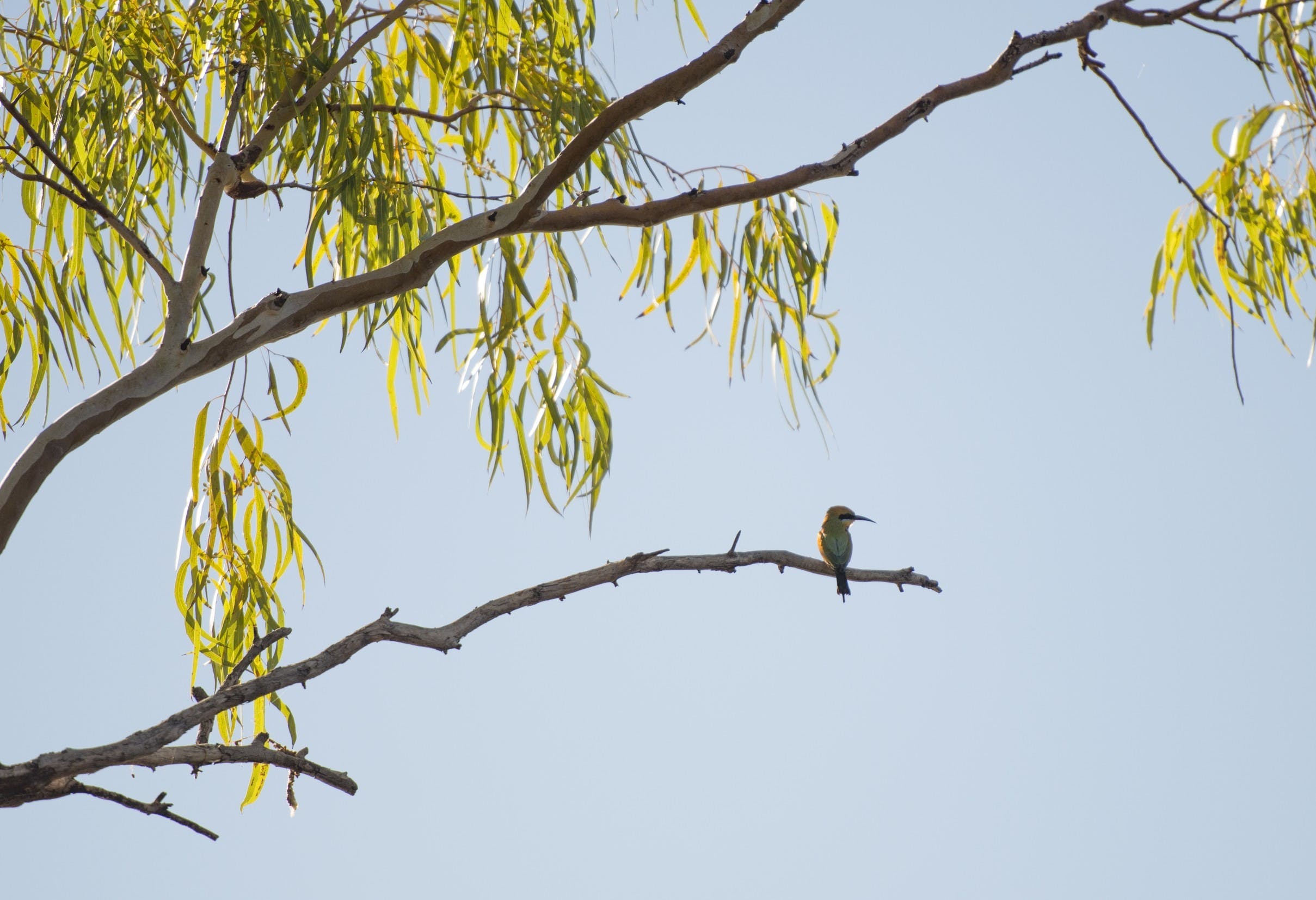 25B1D223A9953762C5B8A62363Ecea6B