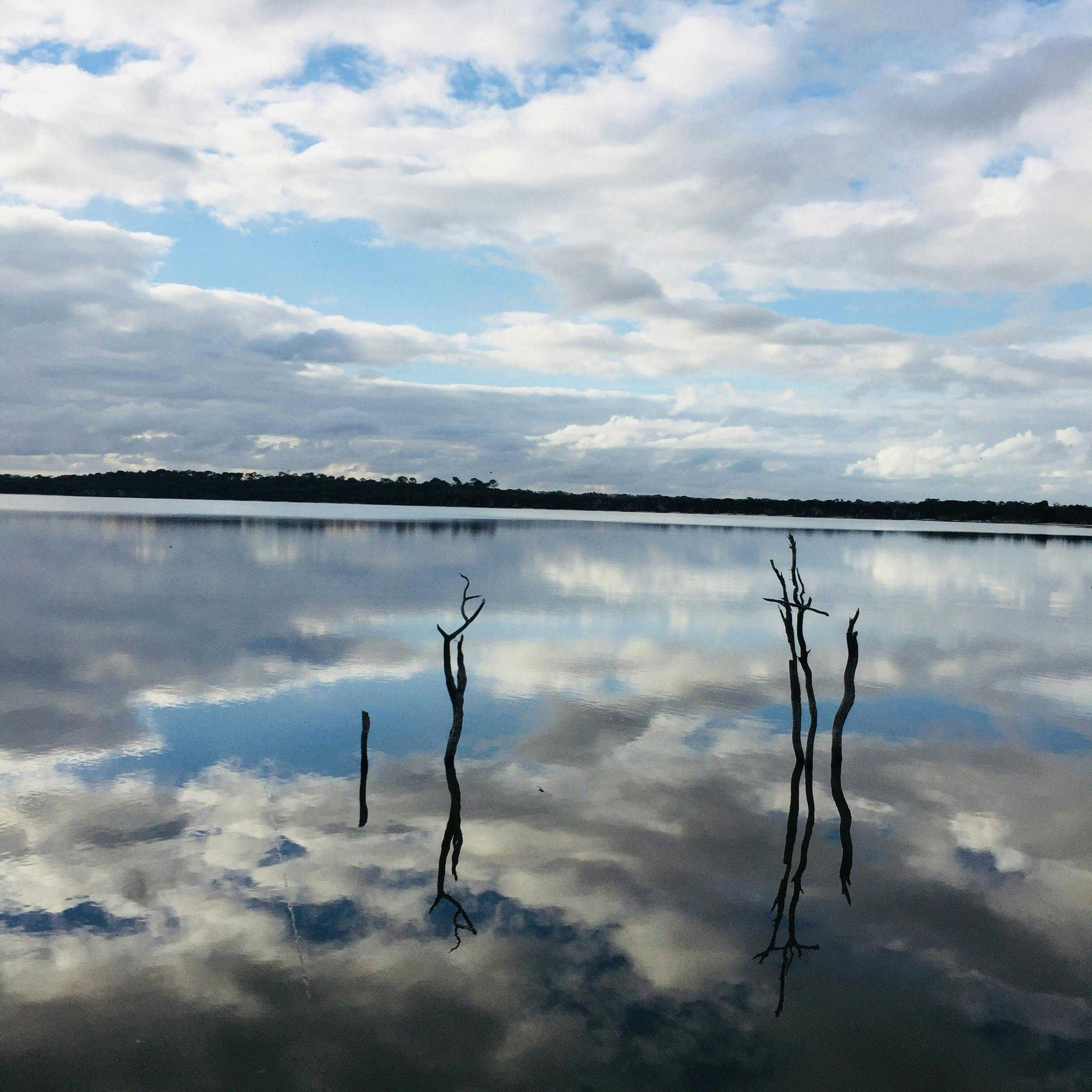 26D2B7E2Ed23942464Ad092F45906028