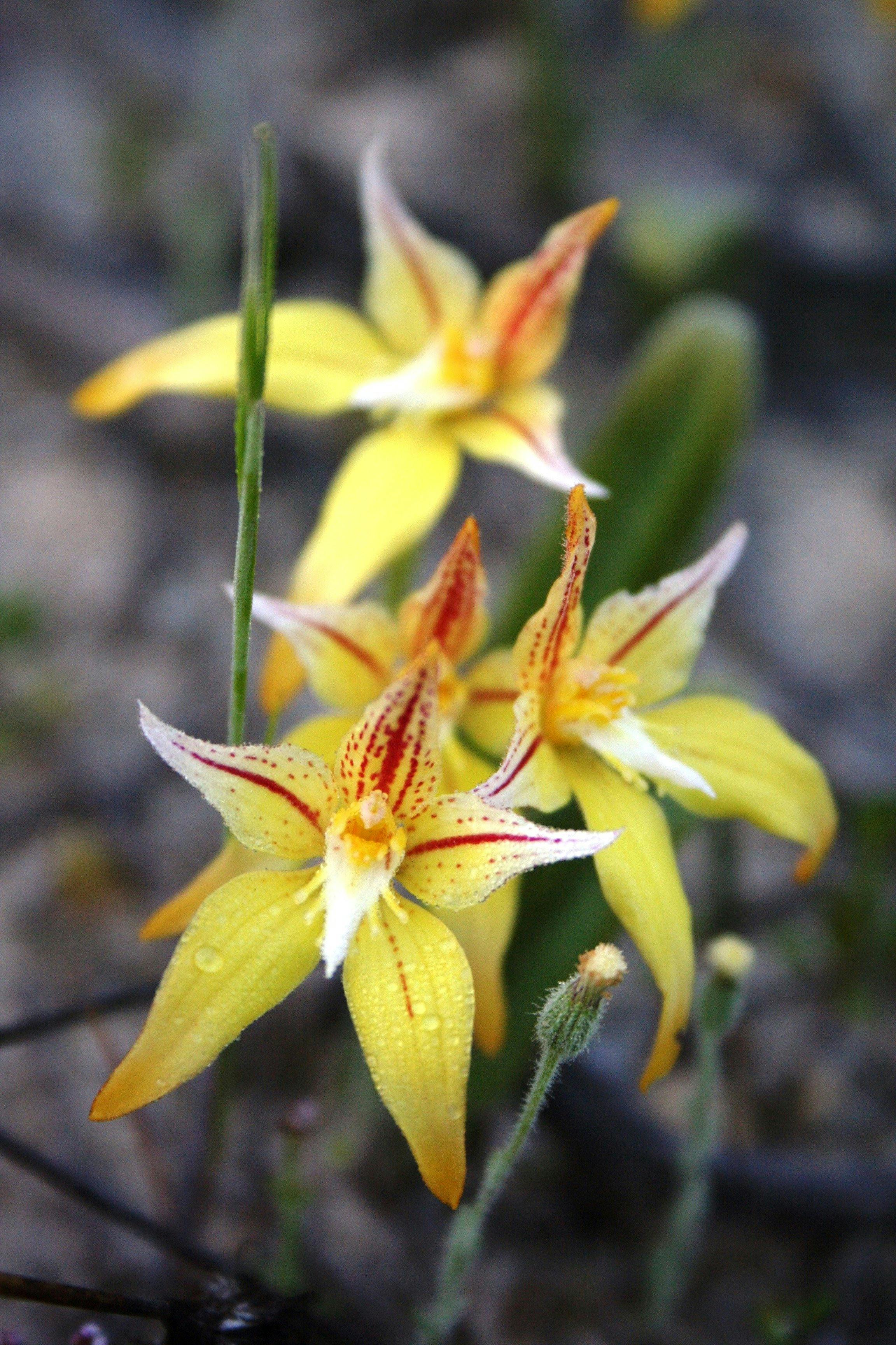 28Eb0C8Bb6993B0322Ff73A61213D8F3