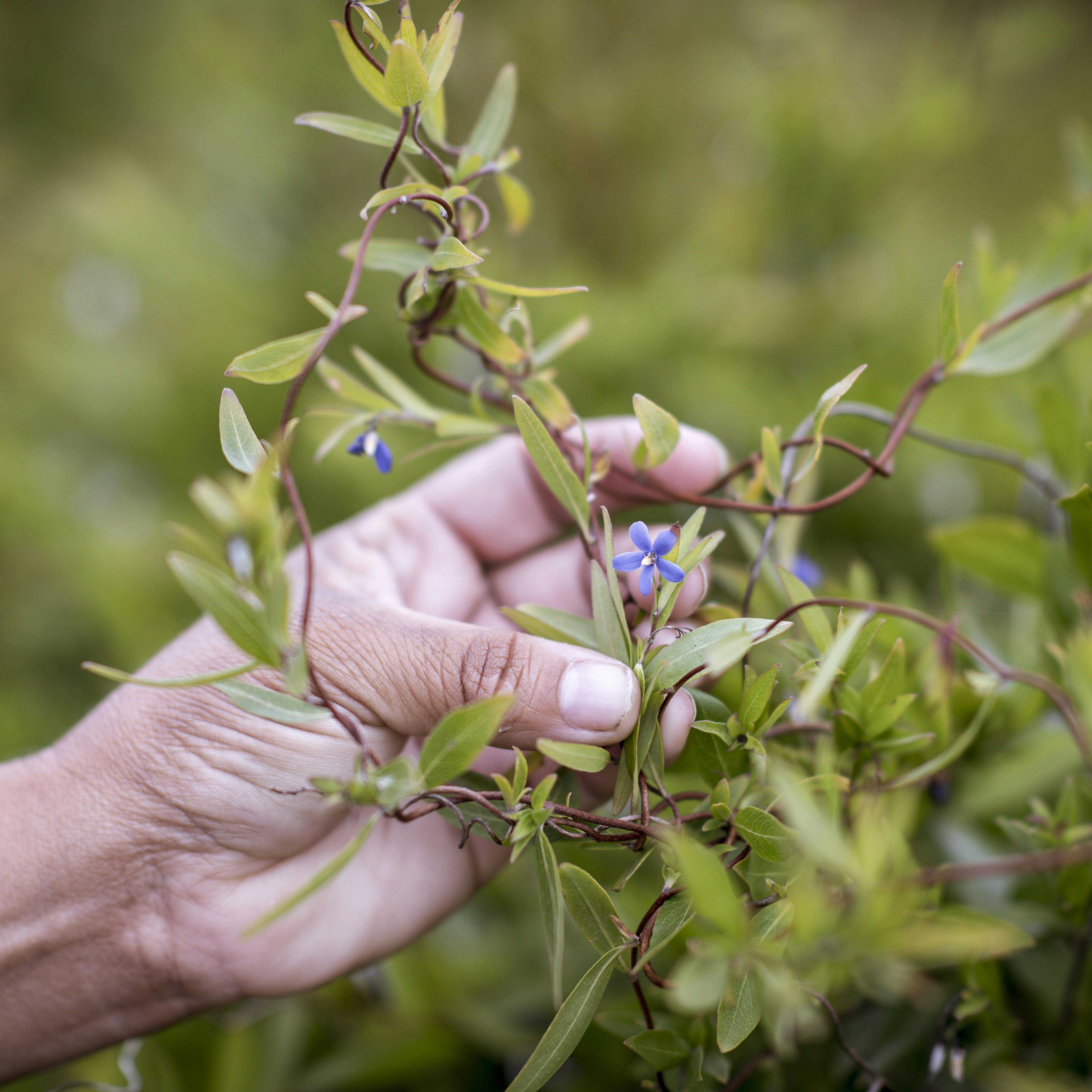 2A711C69Bc94259Fa68649259A92C66A