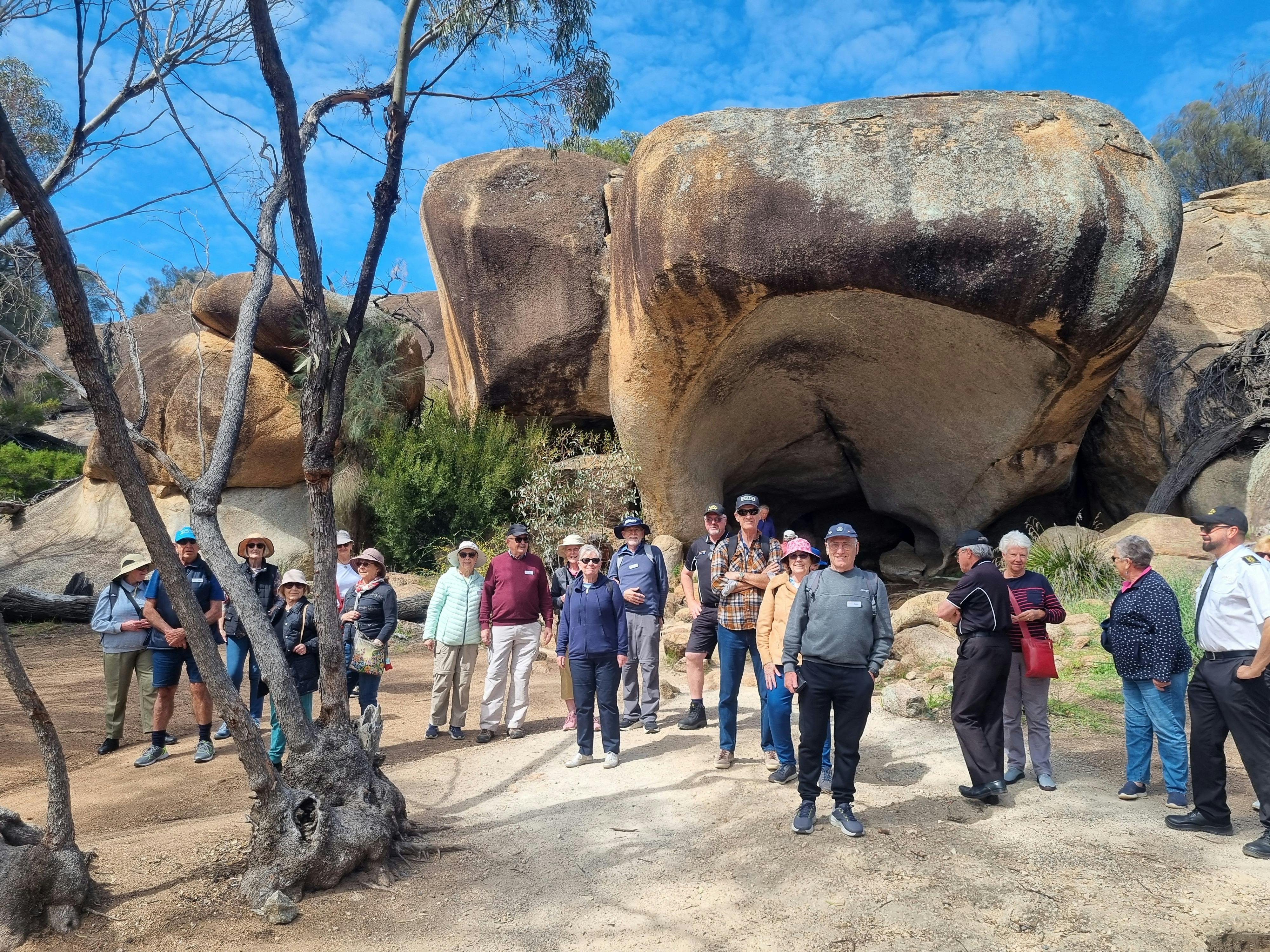 2C4D67F518Ef4Db69A893A176Dd7A0Fc