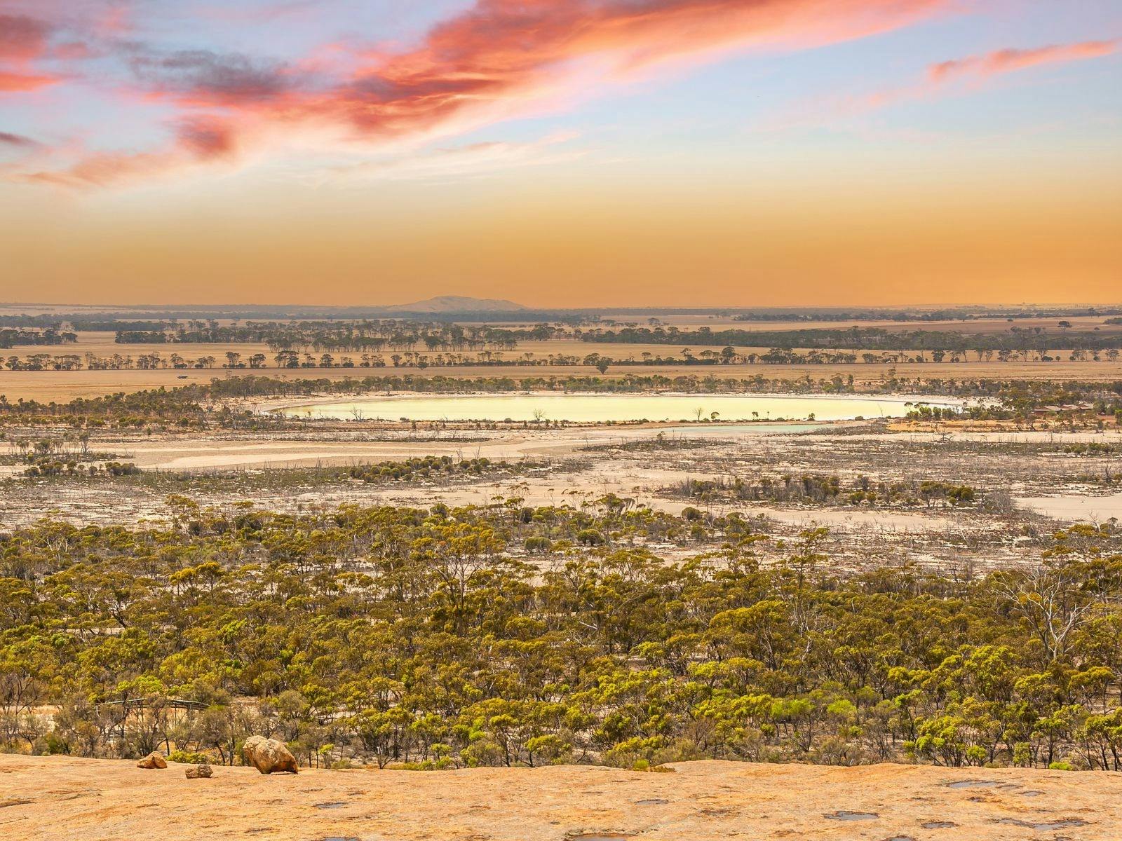 2D78402F9Af99A46315C69Be12B663D8