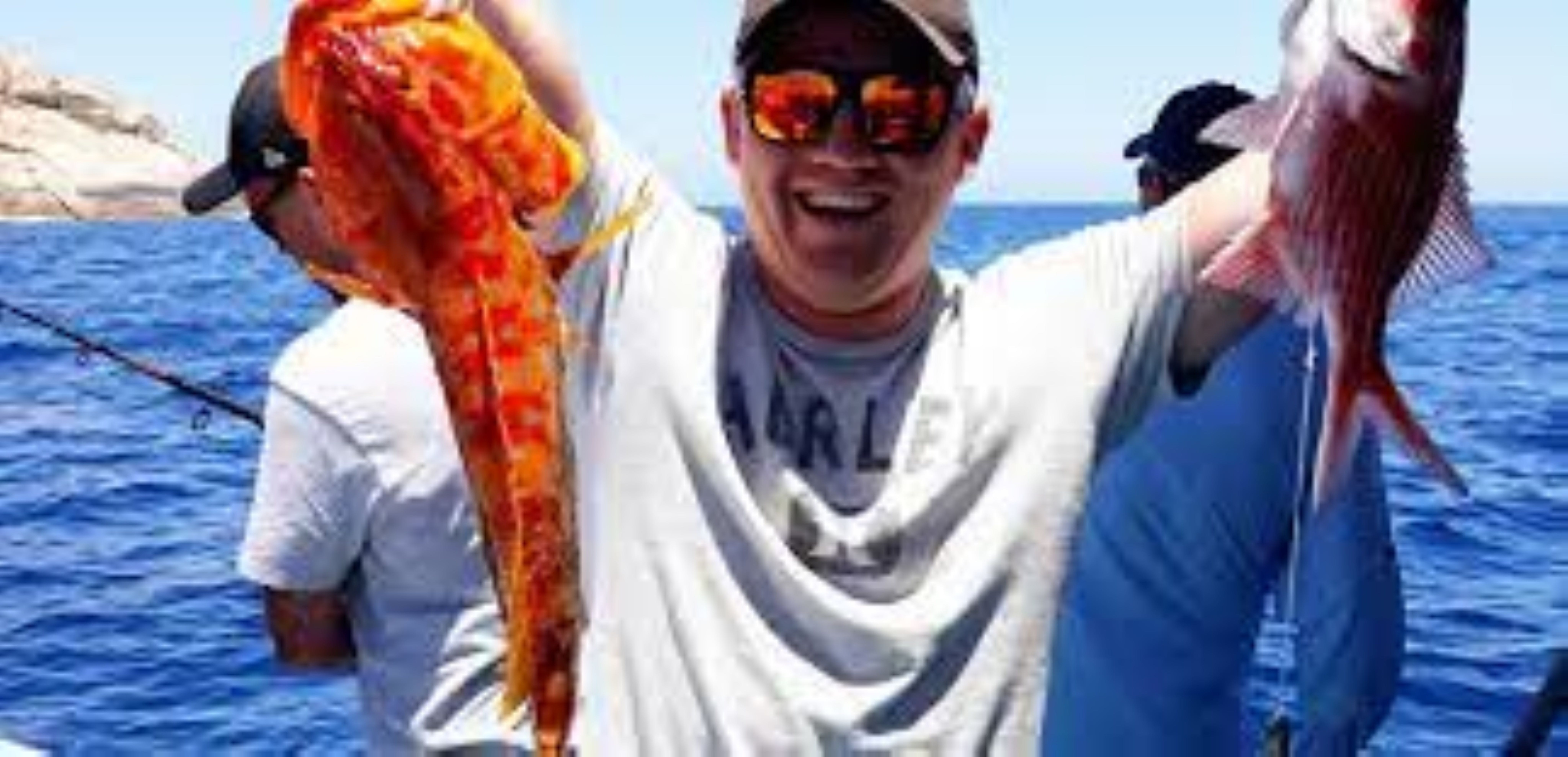 2F06E482Ef02F6C54Afcc320101229F8